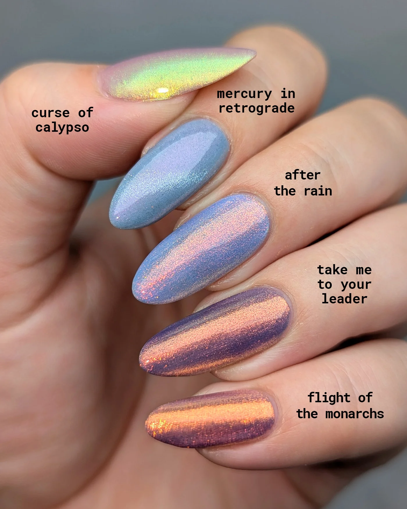 After The Rain - Image 8