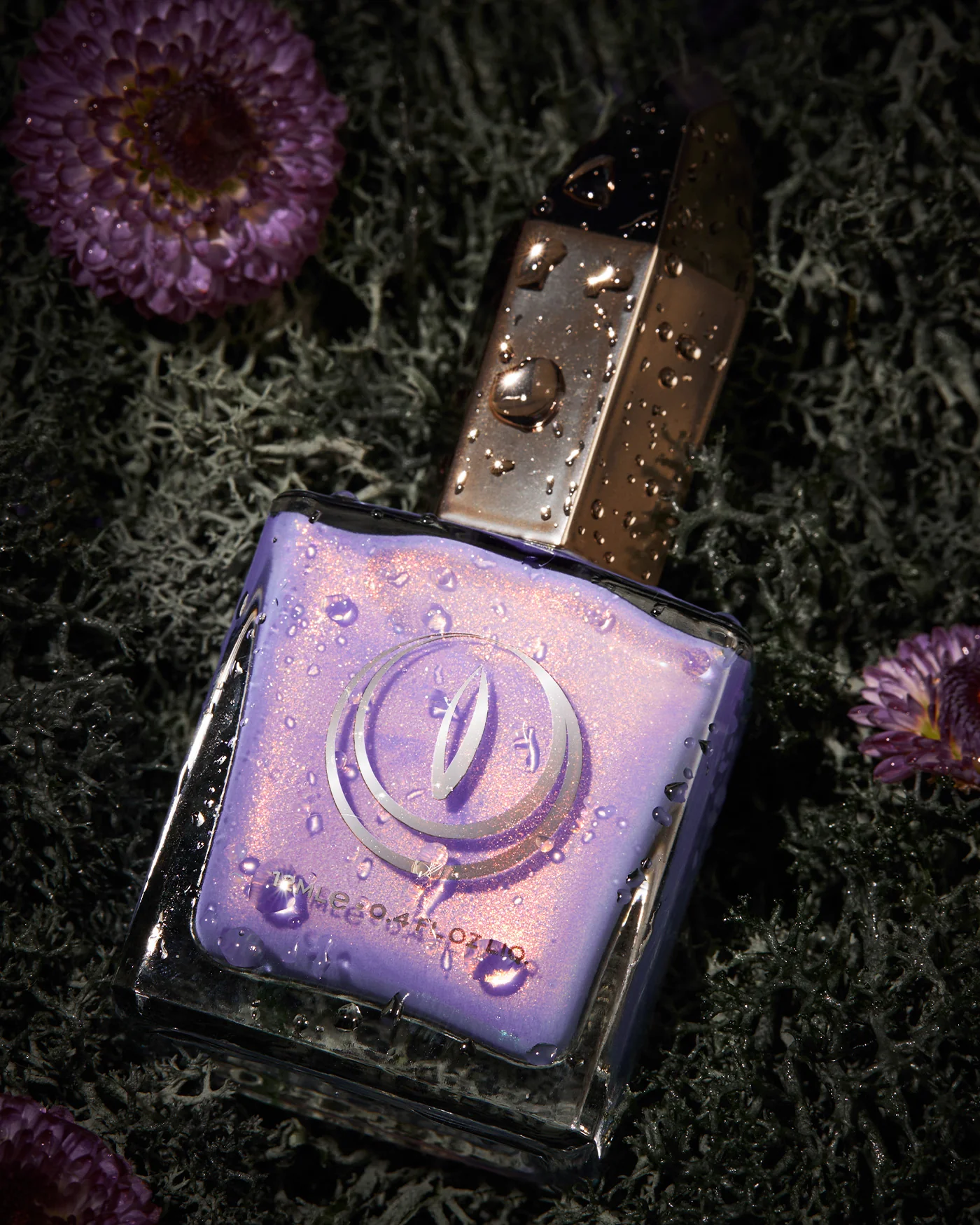 After The Rain - Image 9