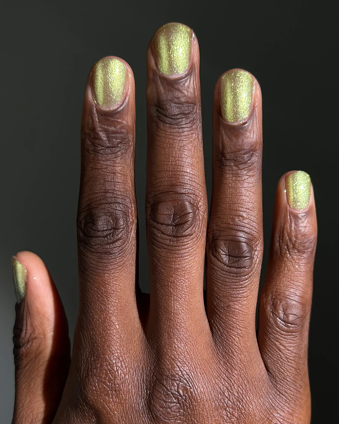 Banquet of Breadcrumbs - Image 3