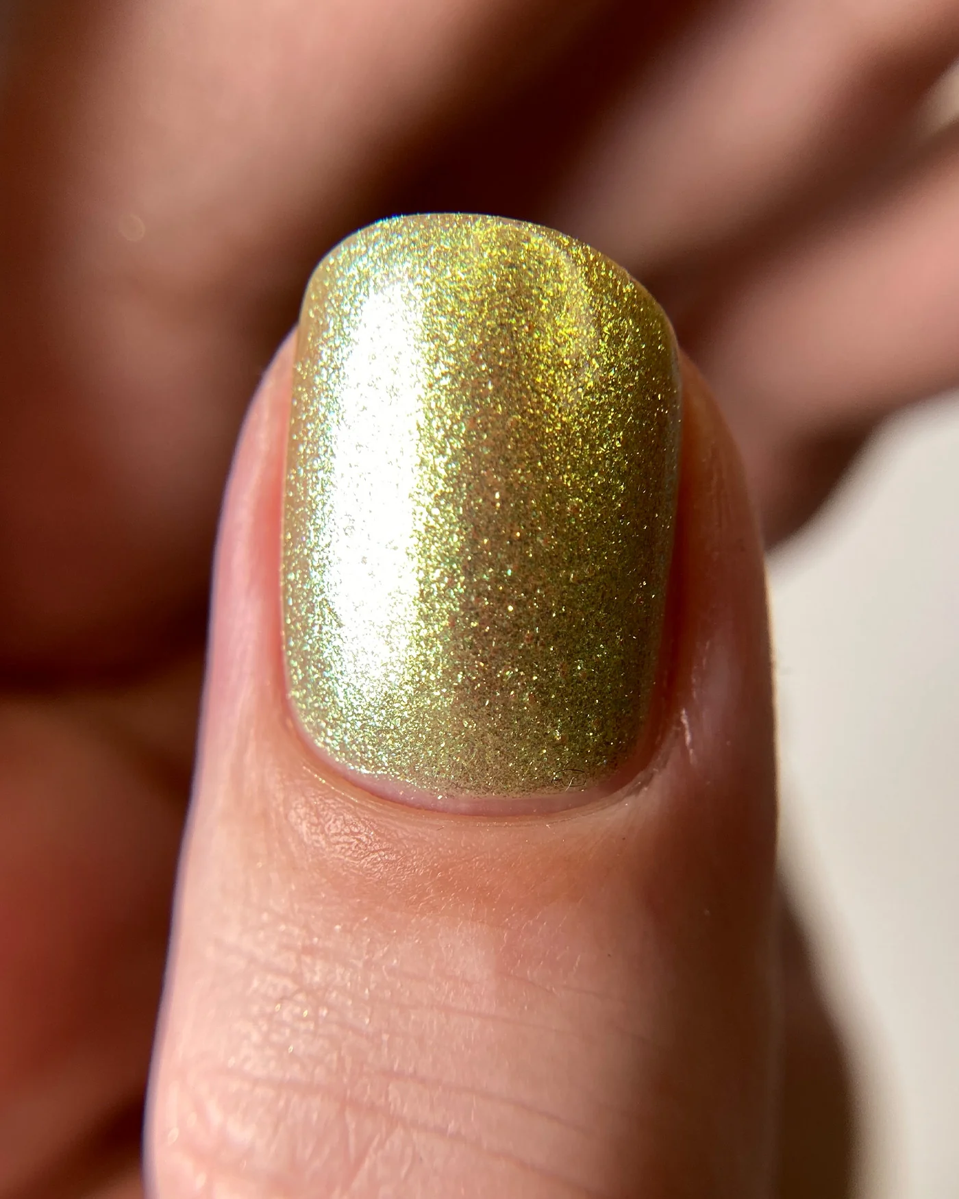 Banquet of Breadcrumbs - Image 7