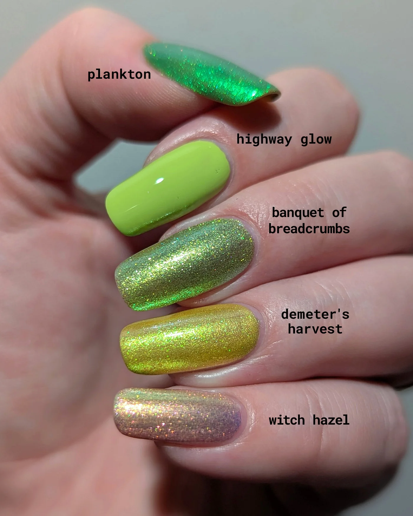 Banquet of Breadcrumbs - Image 8