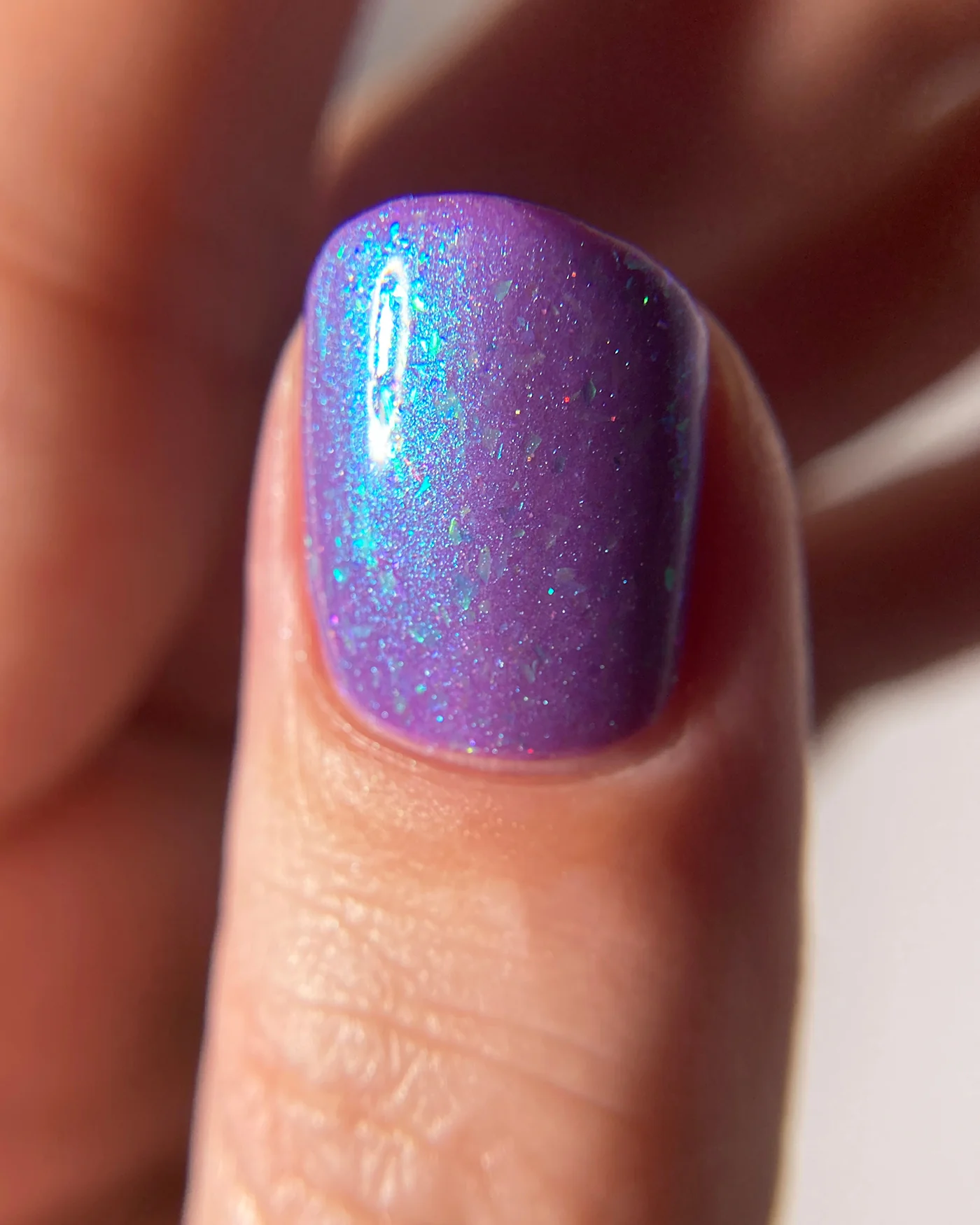 Bermuda Triangle - Image 8