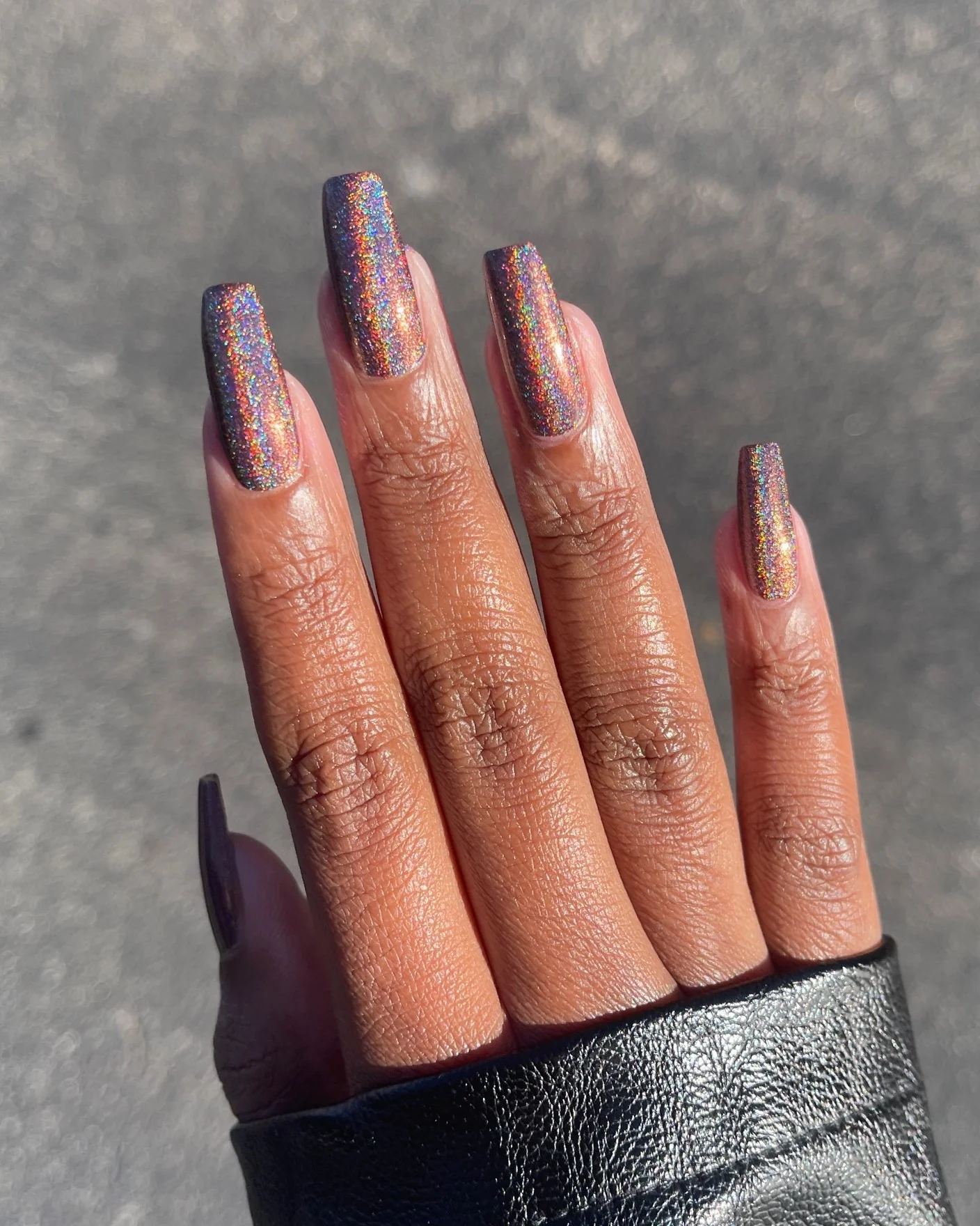 Boa Constrictor - Image 5