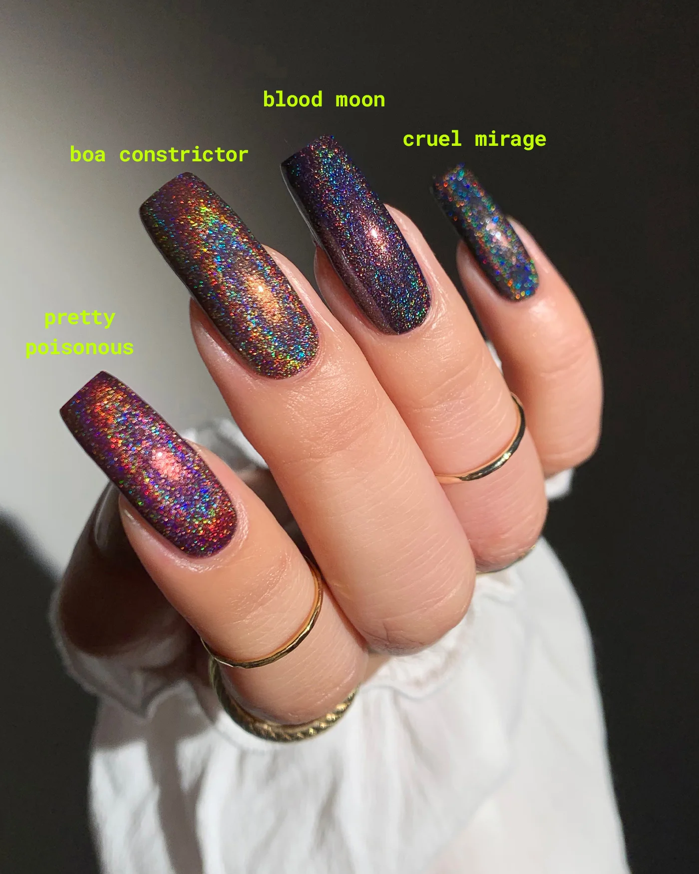 Boa Constrictor - Image 7