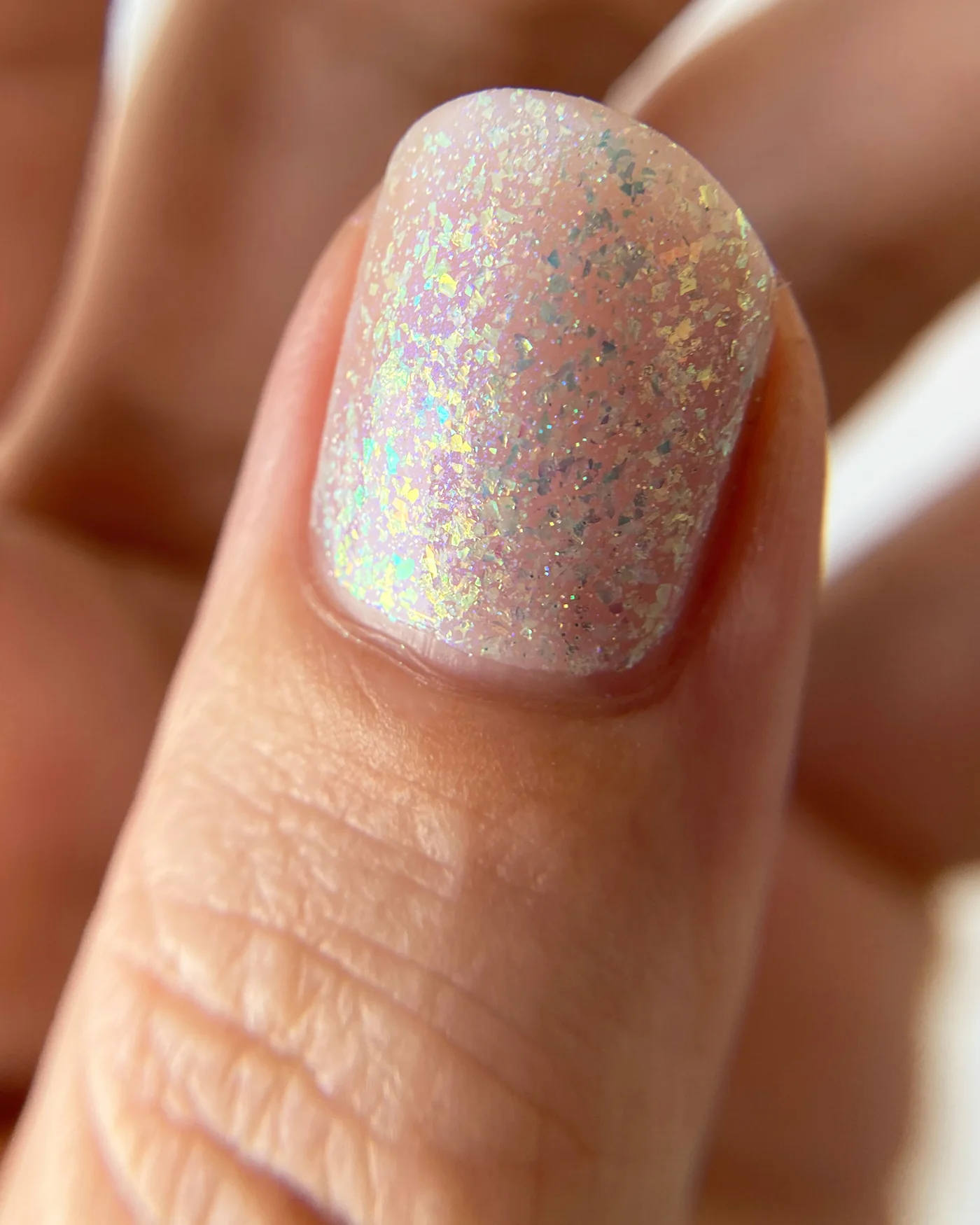 Curiosity's Prey - Image 4