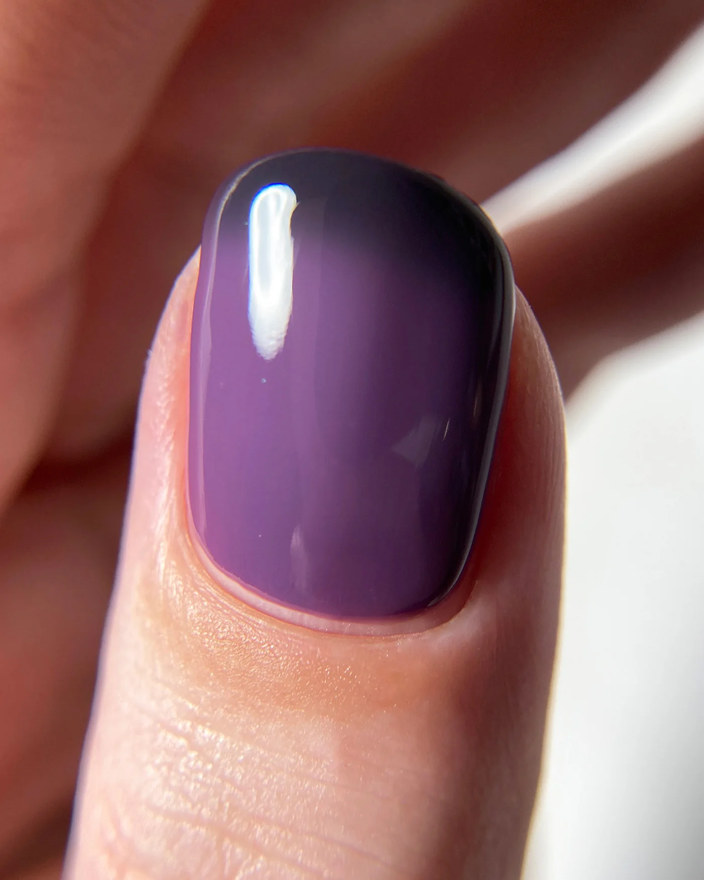 Dark Omens - Image 6