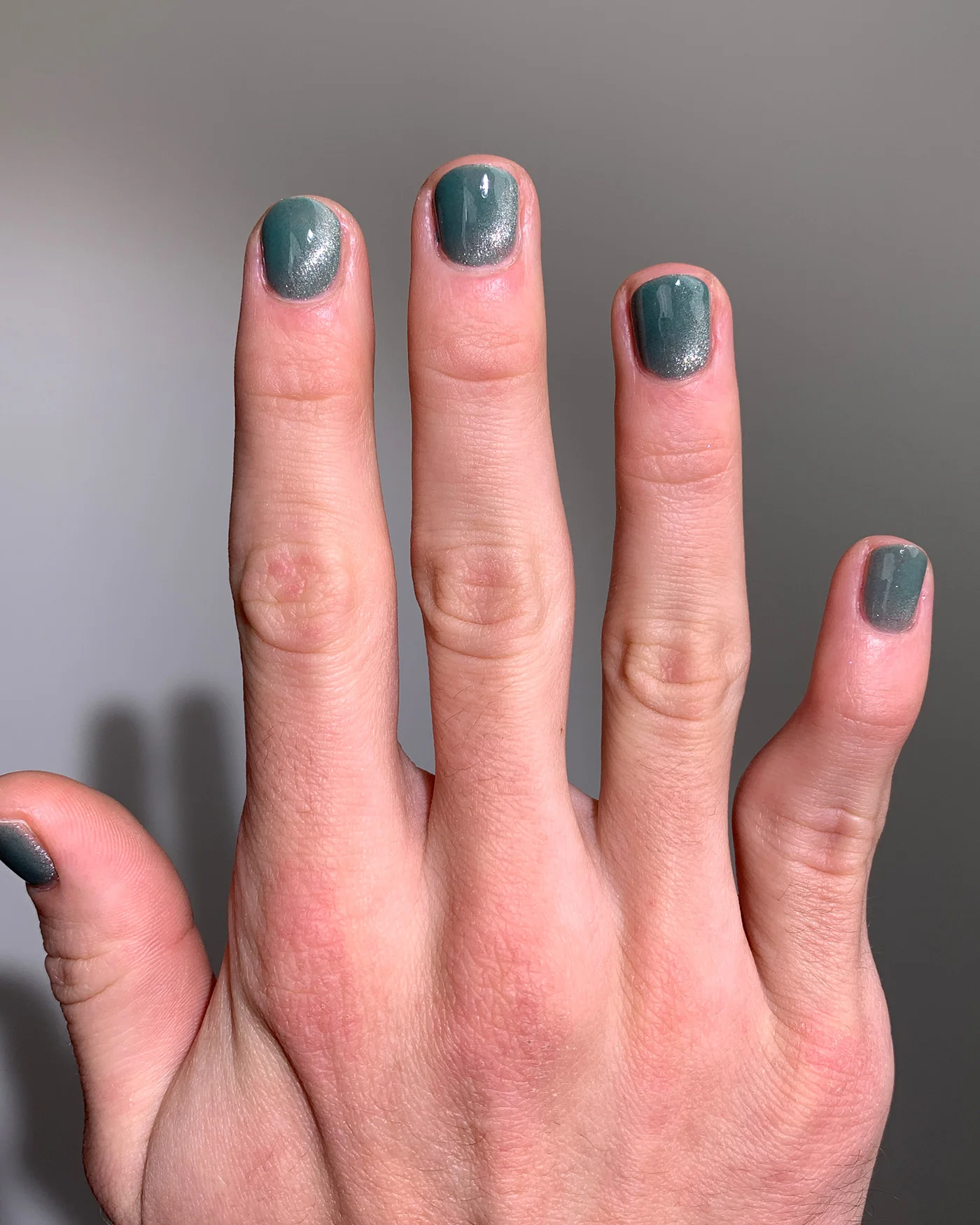 Devil's Ivy - Image 5