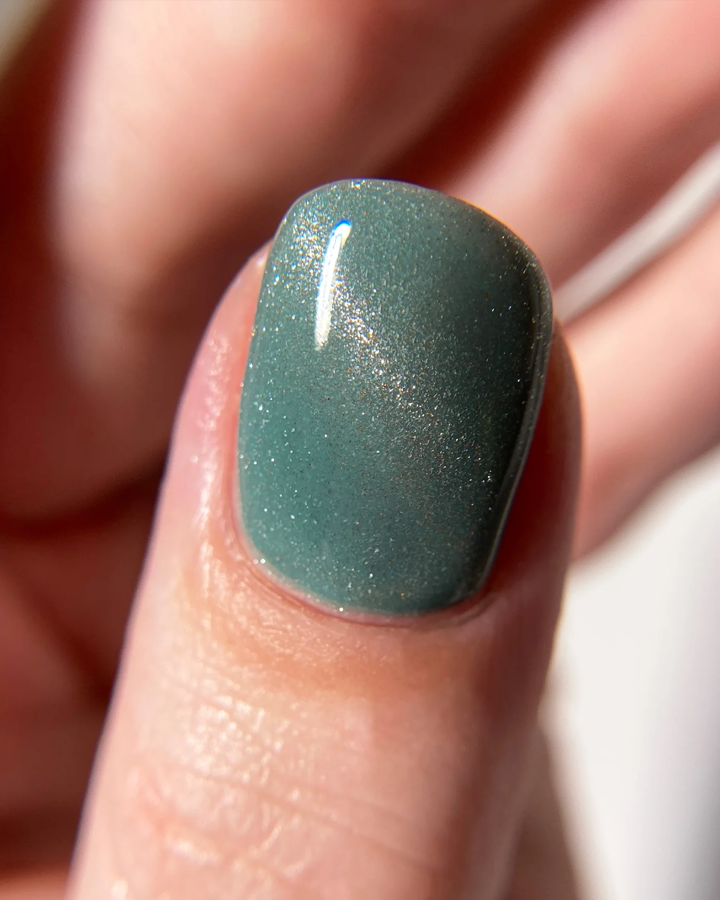 Devil's Ivy - Image 7