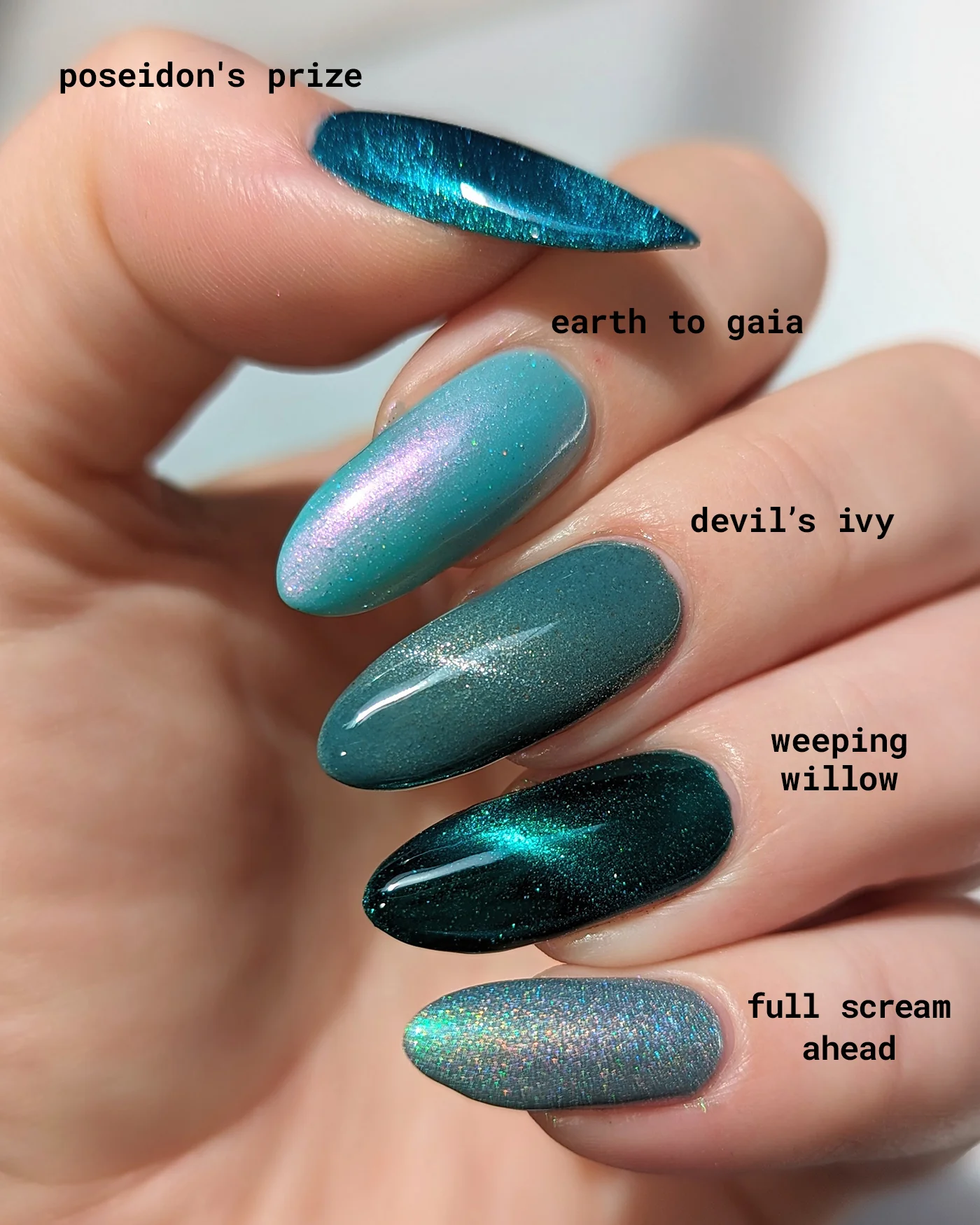 Devil's Ivy - Image 8