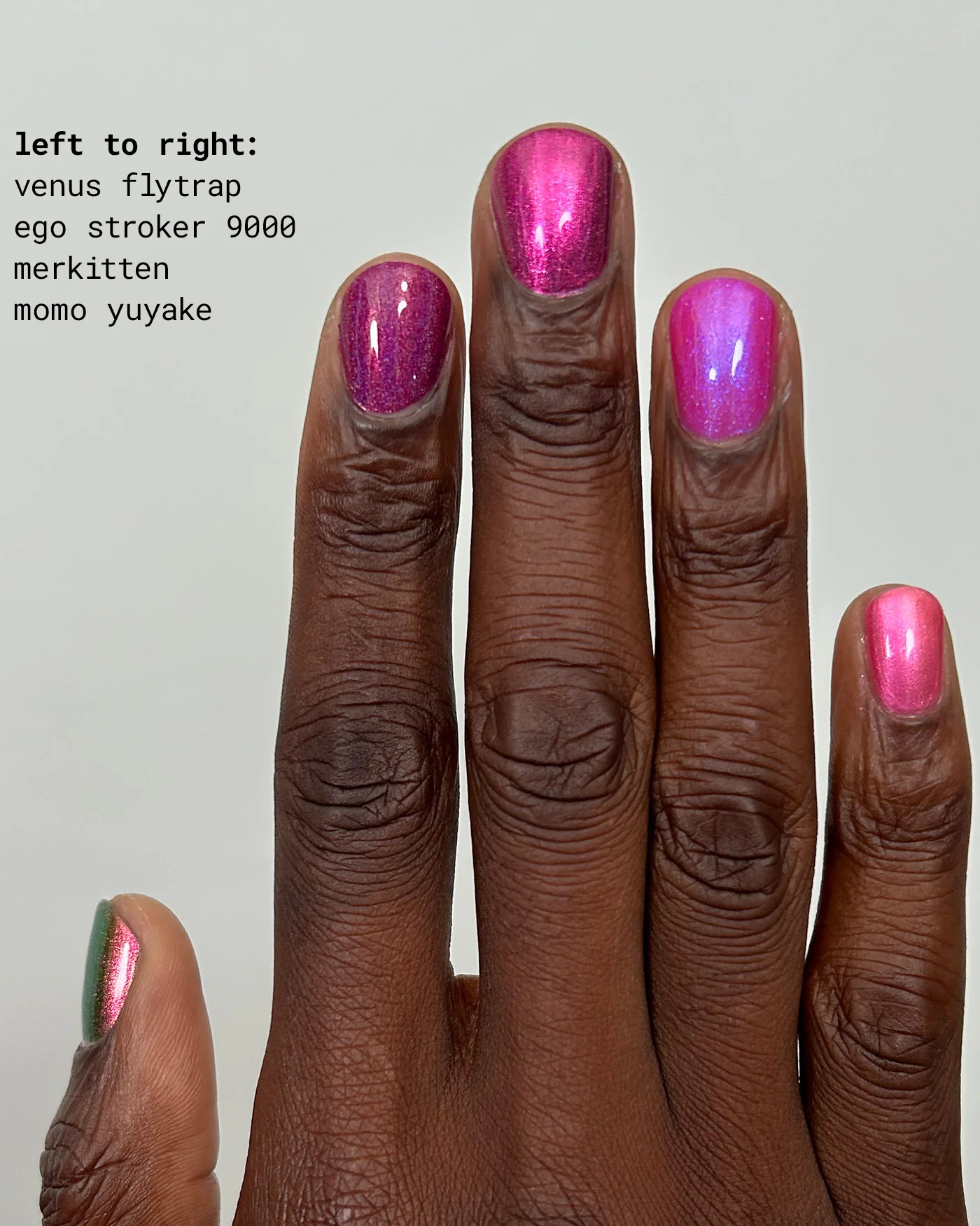 Ego Stroker 9000 - Image 6