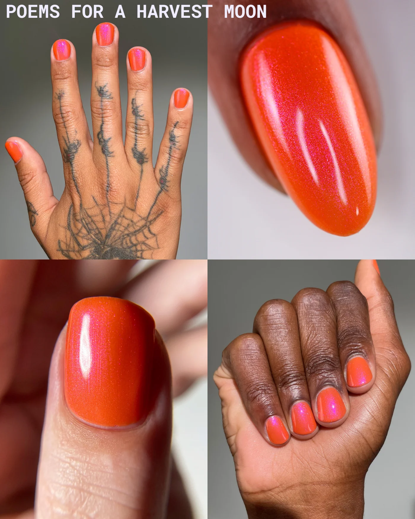 Fallen Set - Image 9