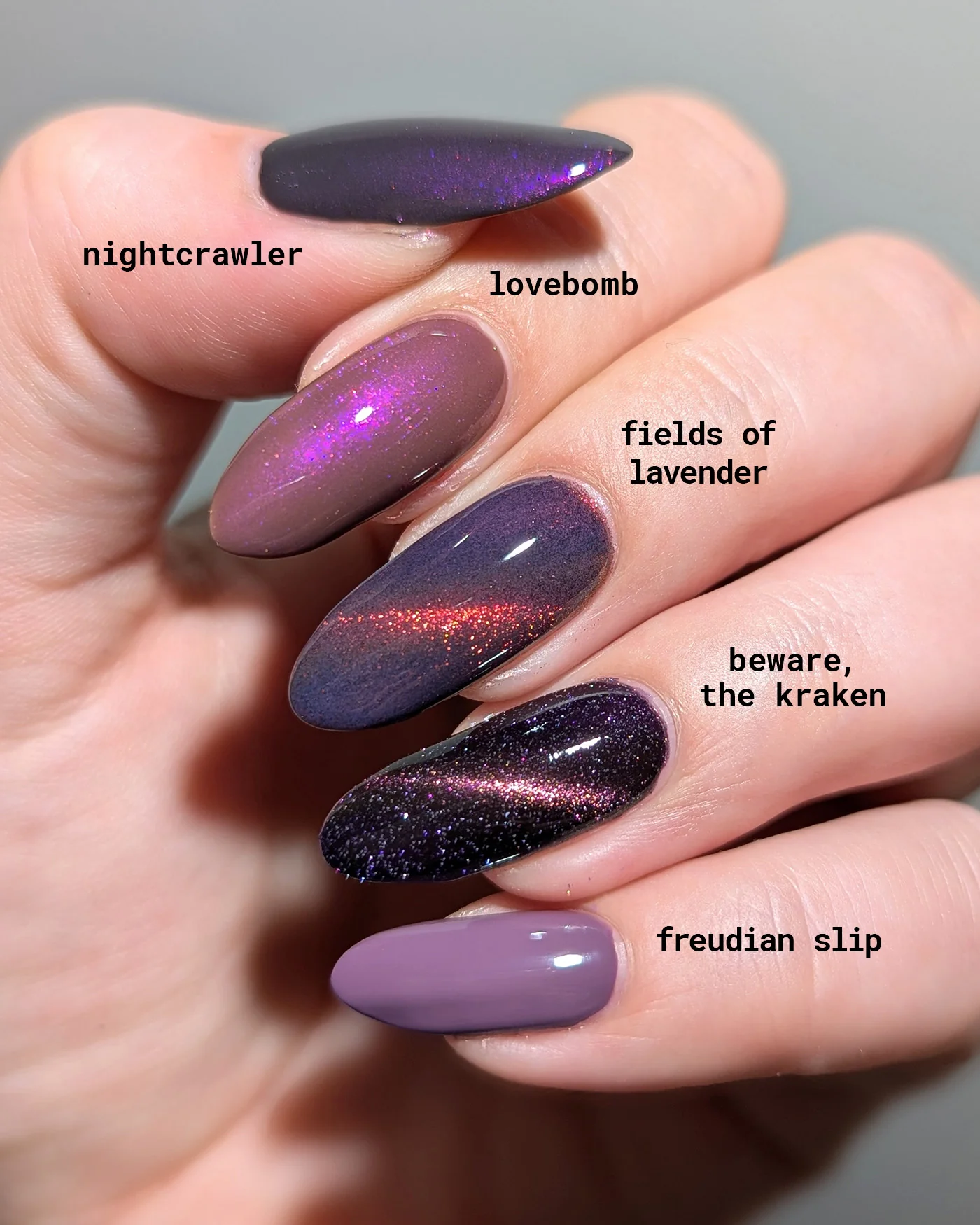 Fields of Lavender - Image 7