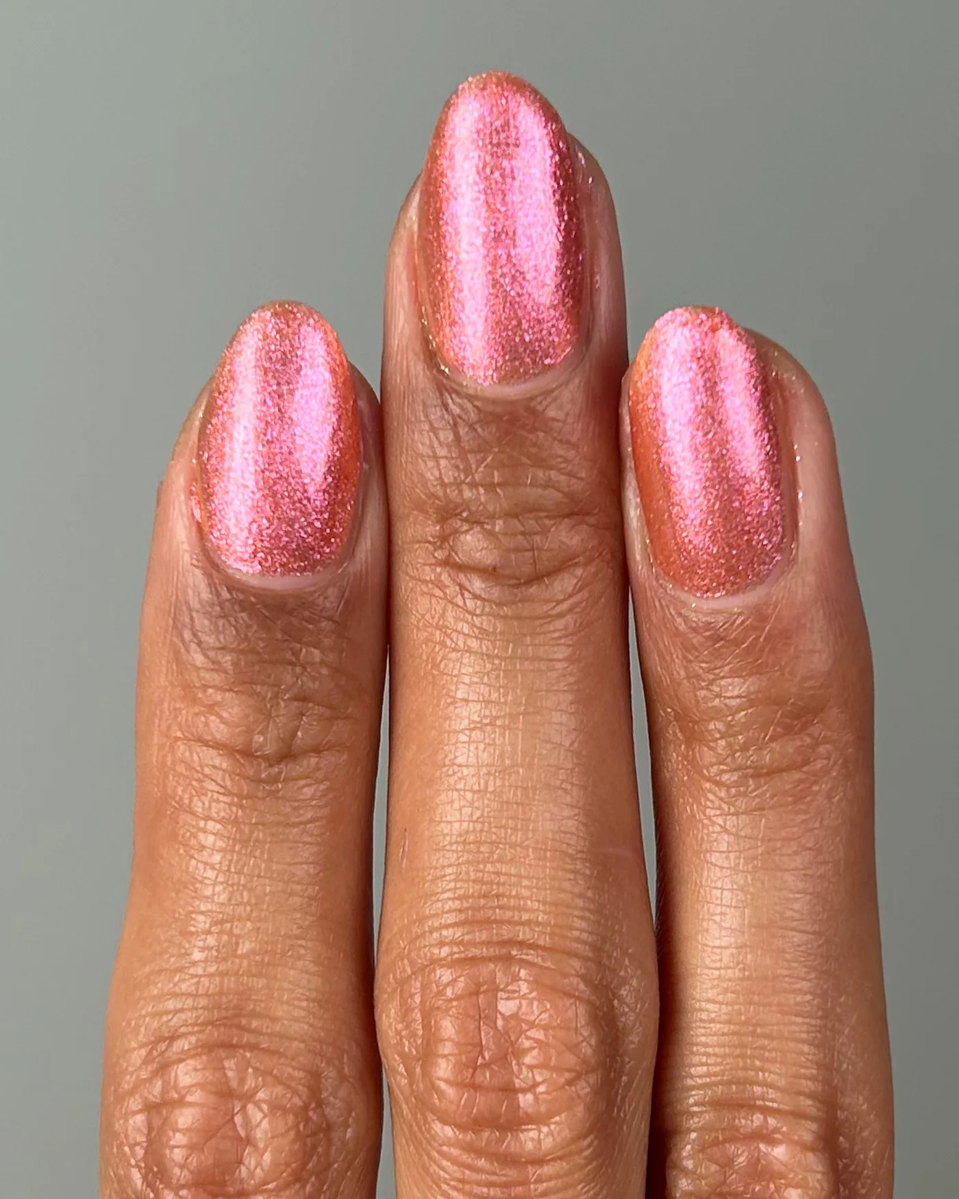 Fleur Sauvage - Image 4