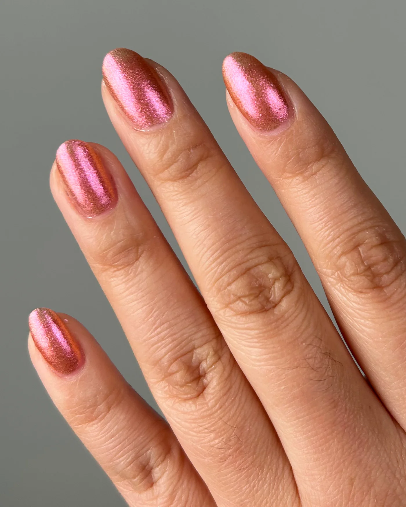 Fleur Sauvage - Image 6