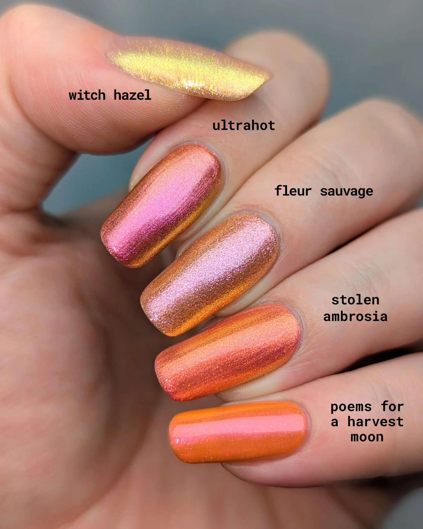 Fleur Sauvage - Image 8