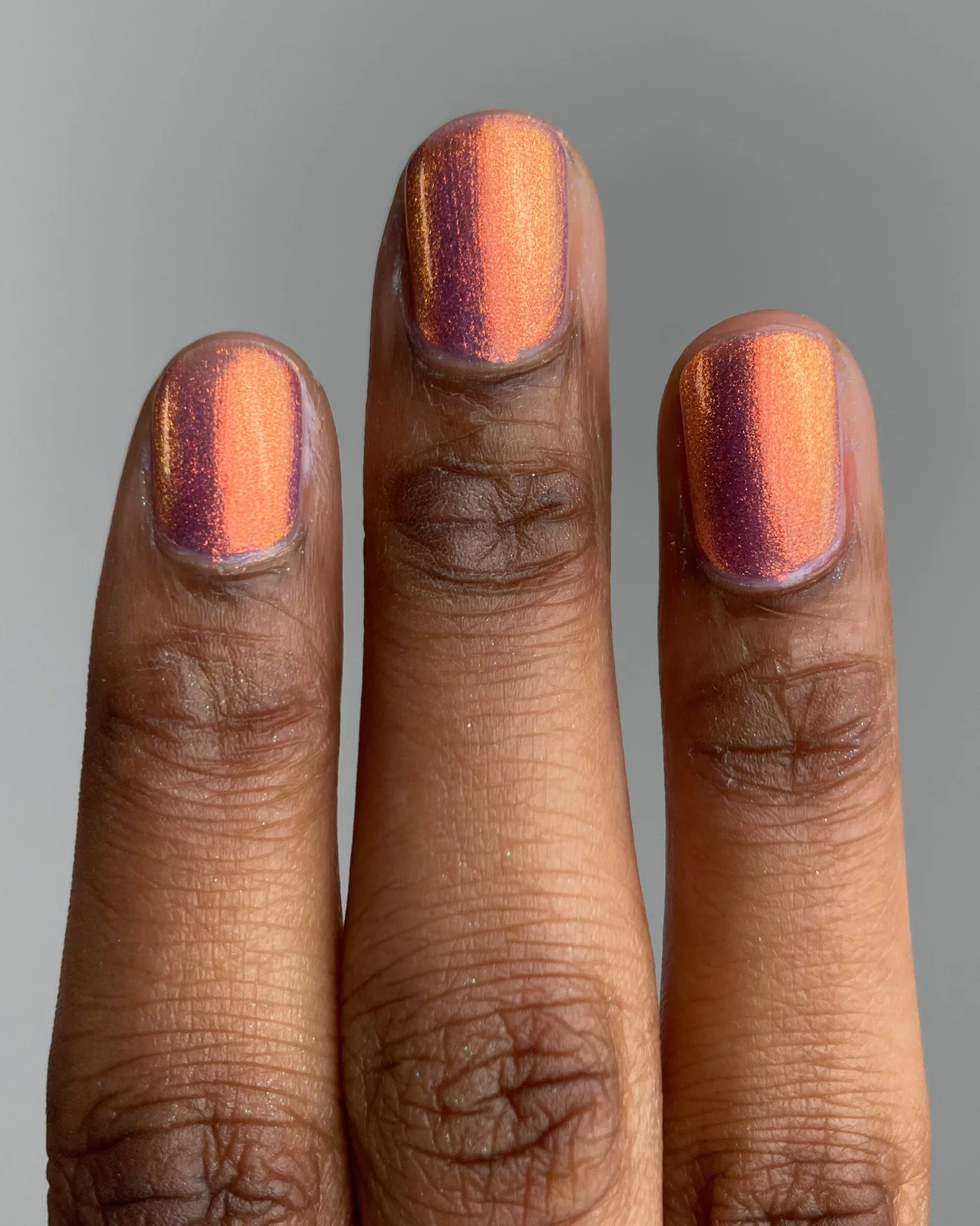 Flight Of The Monarchs - Image 4