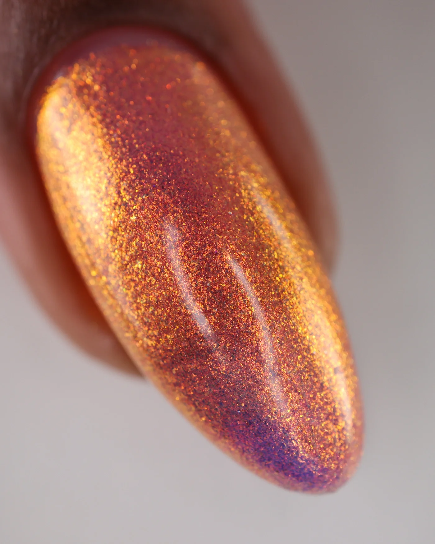 Flight Of The Monarchs - Image 5