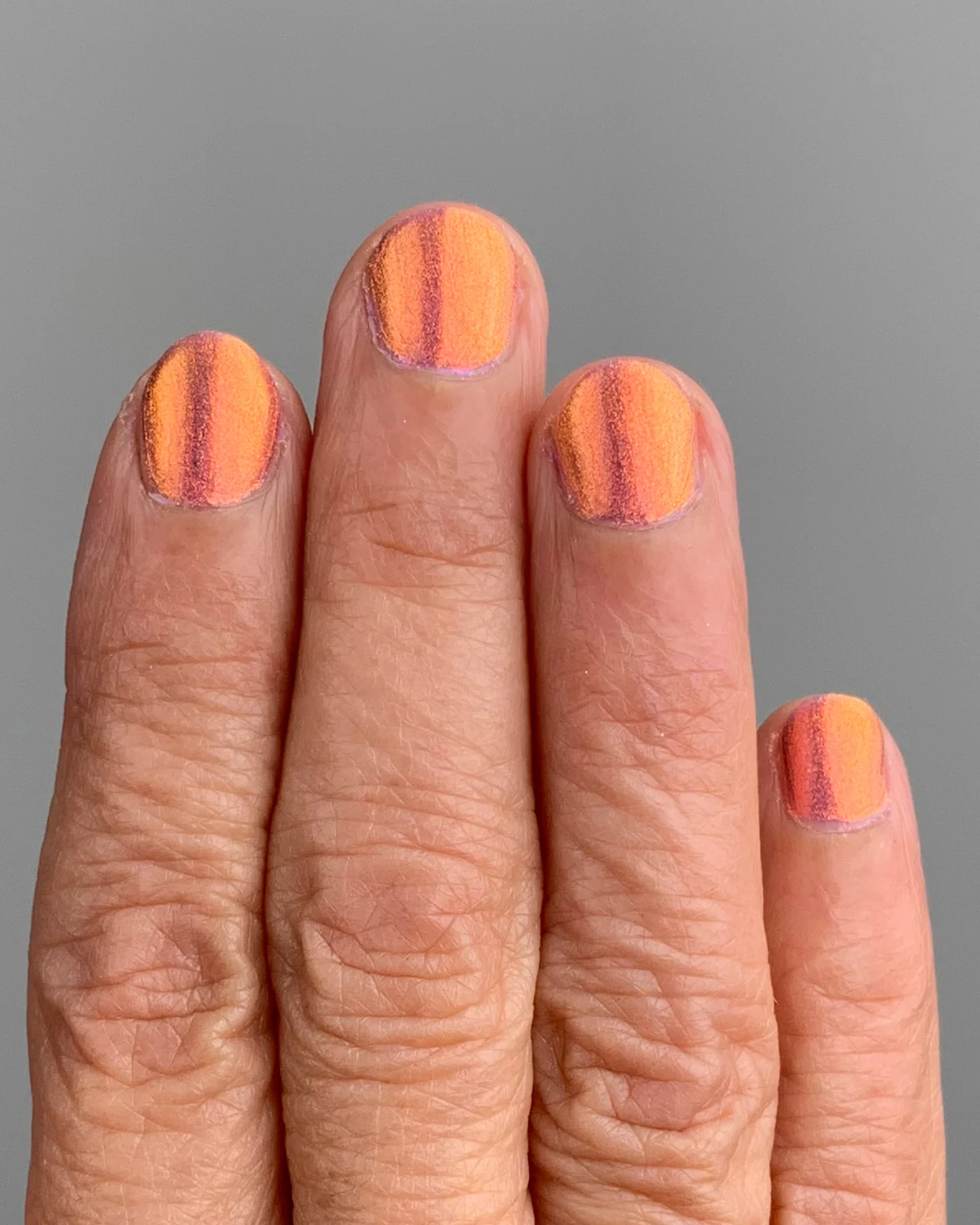 Flight Of The Monarchs - Image 6