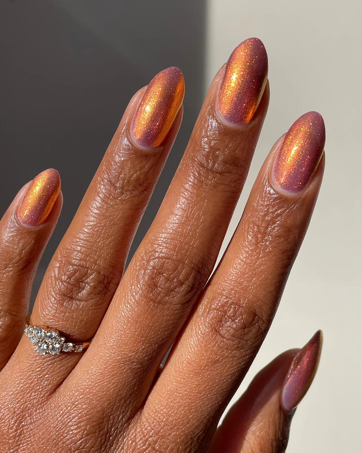 Flight Of The Monarchs - Image 7