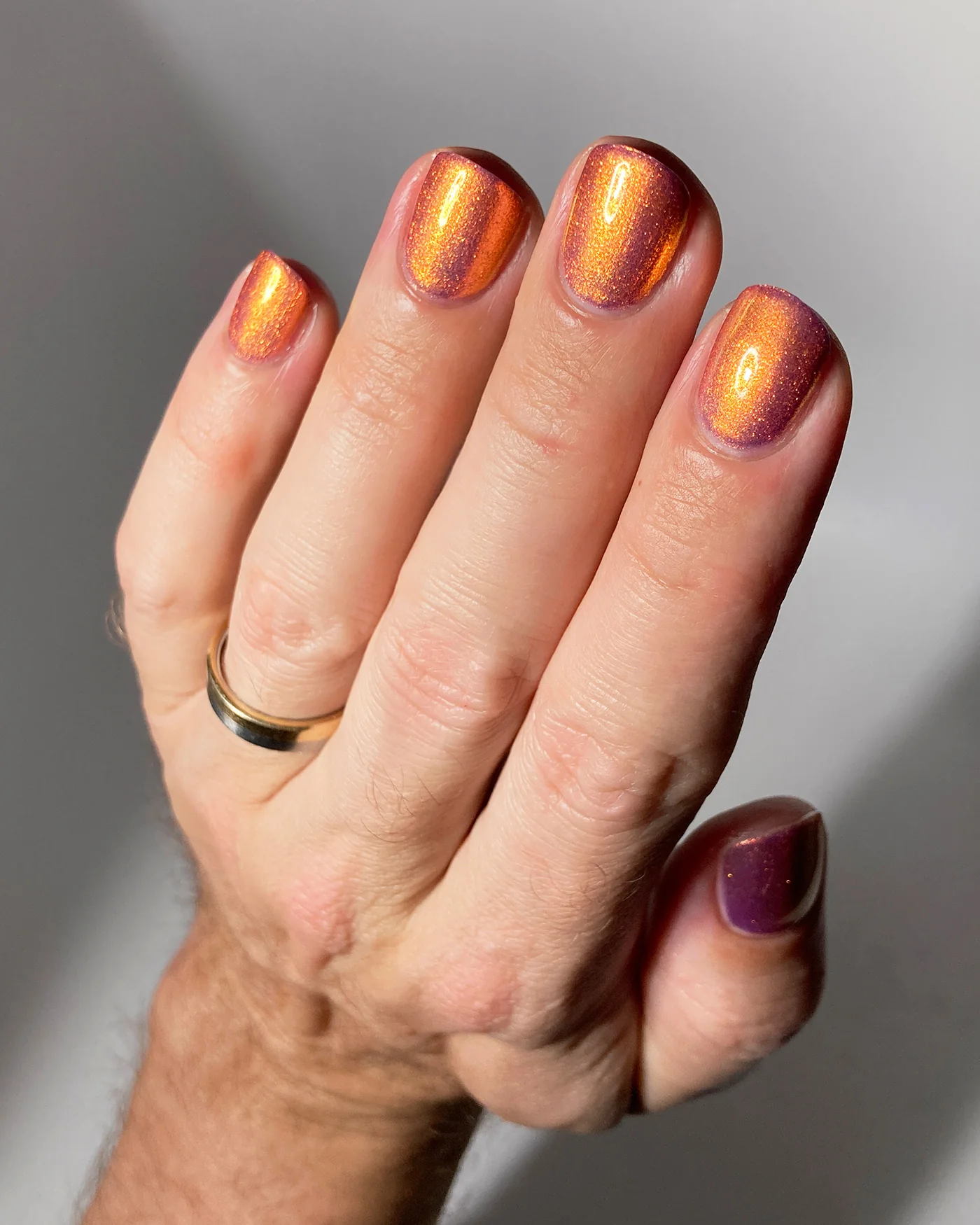 Flight Of The Monarchs - Image 8