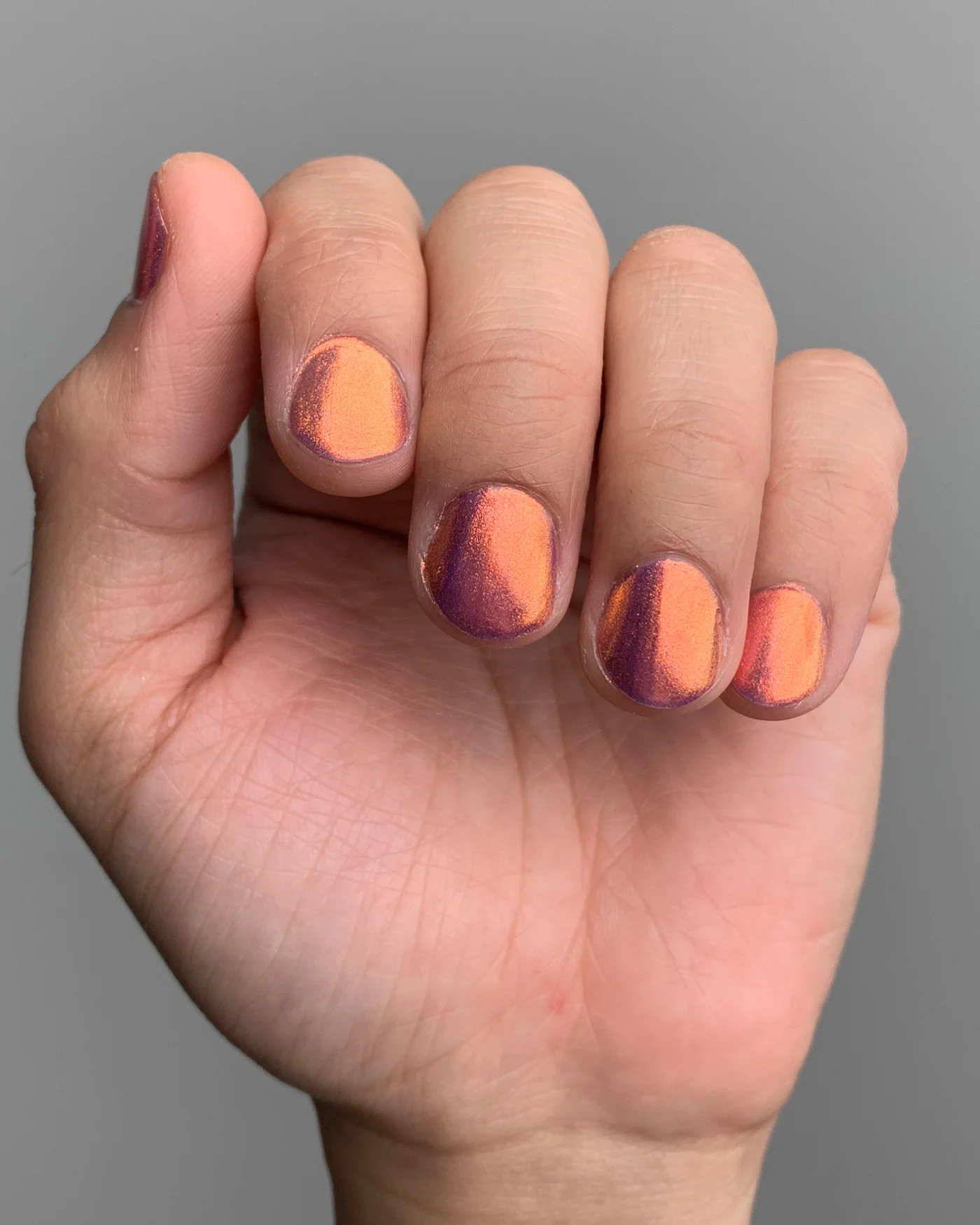 Flight Of The Monarchs - Image 9