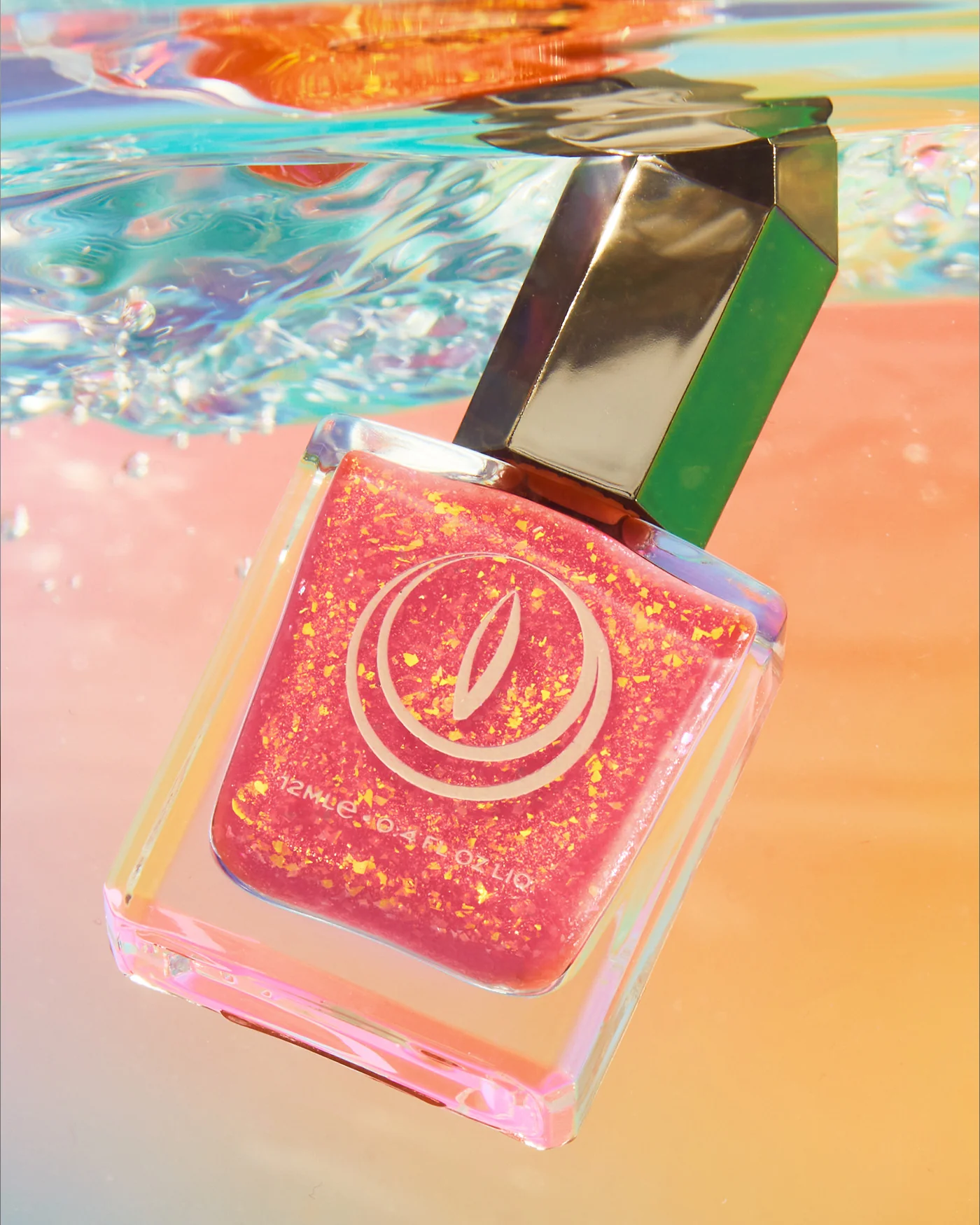 Hermit Crab - Image 10