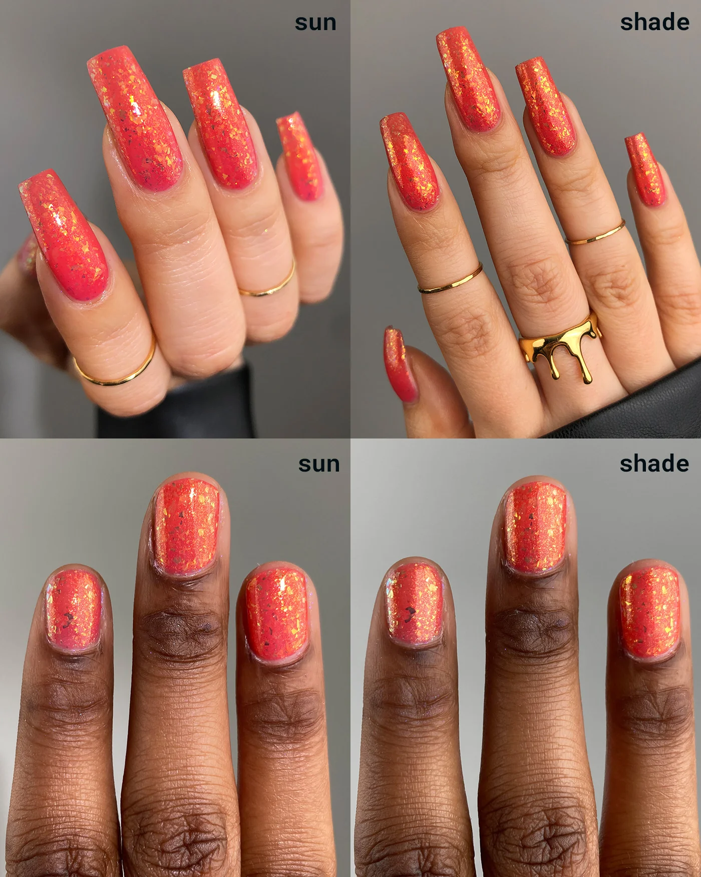 Hermit Crab - Image 2