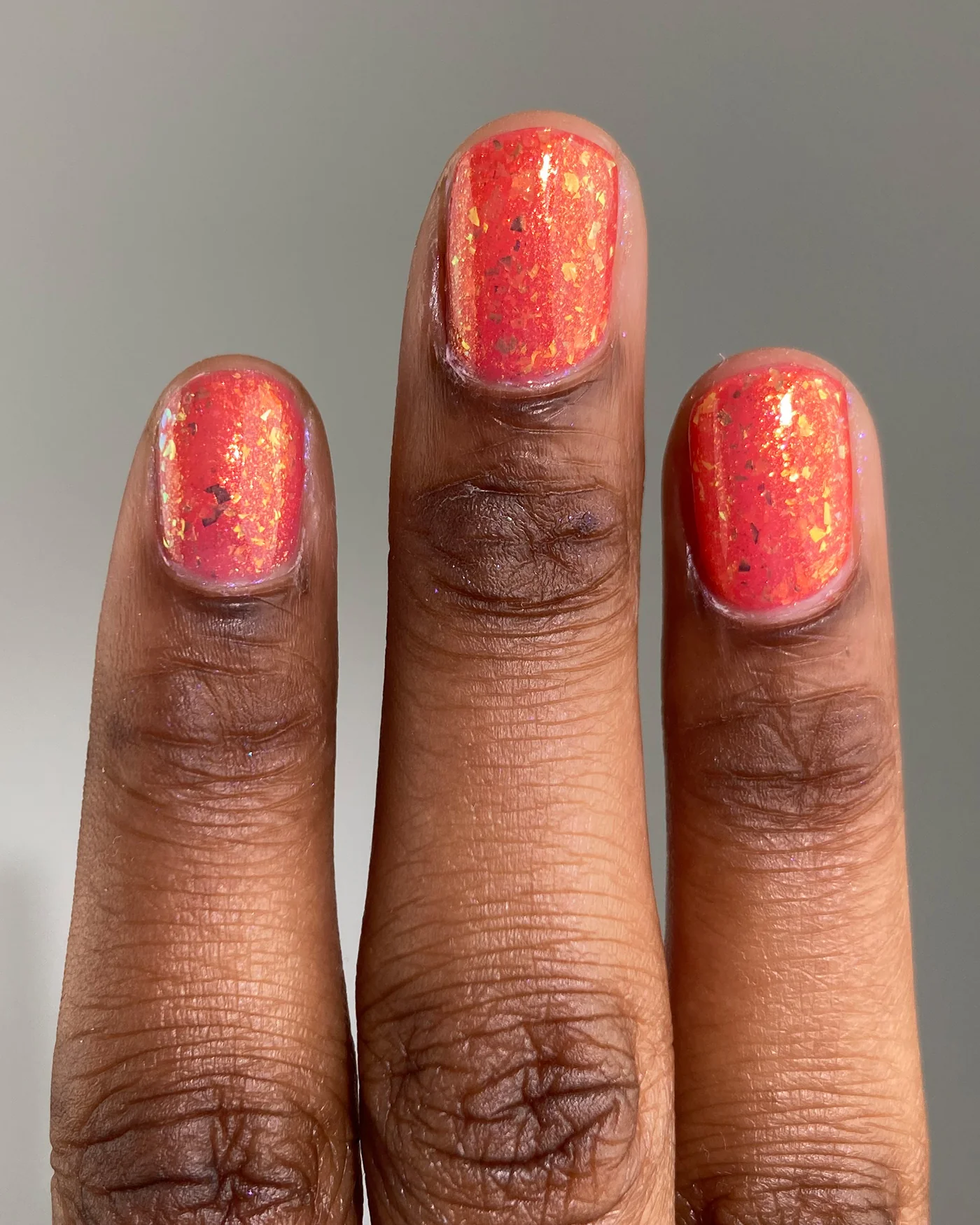 Hermit Crab - Image 3