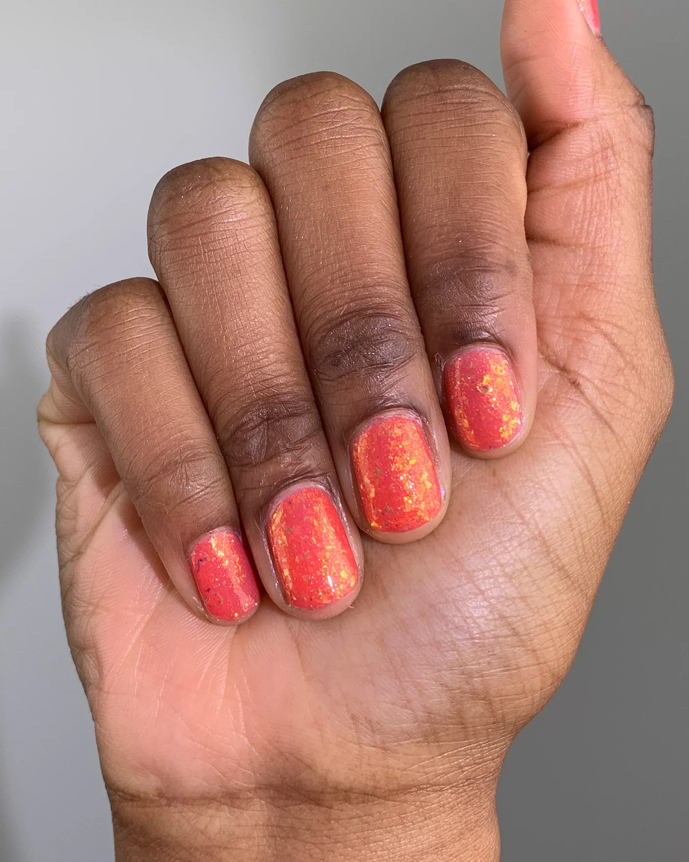 Hermit Crab - Image 4