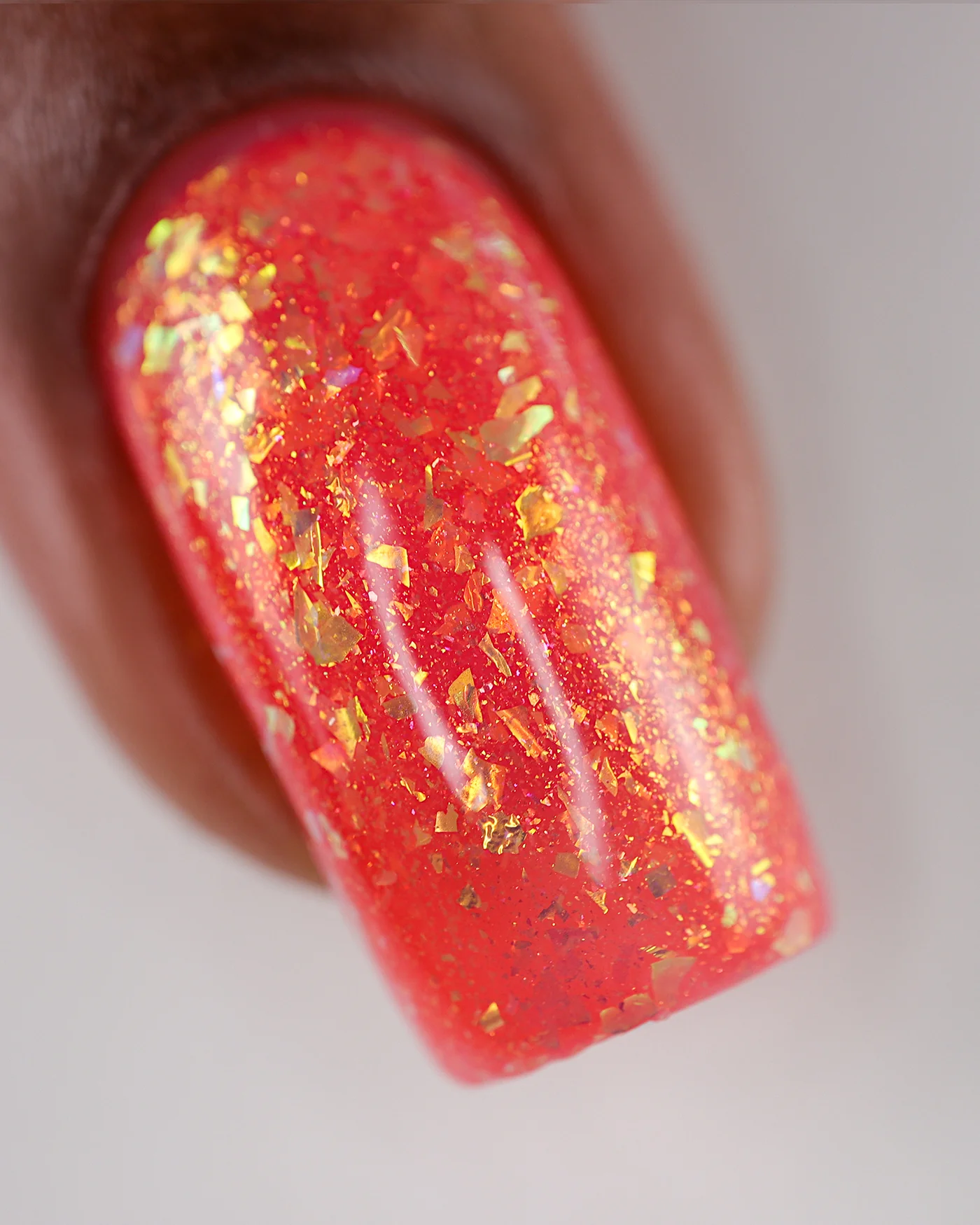 Hermit Crab - Image 5