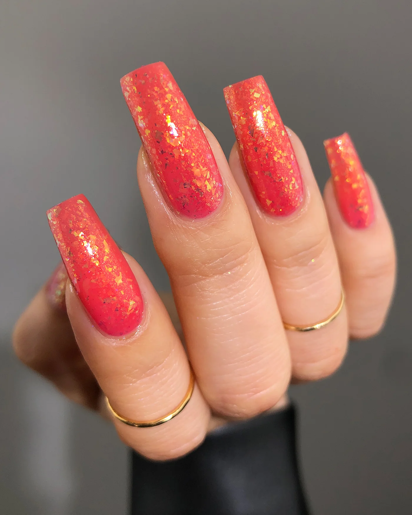 Hermit Crab - Image 6