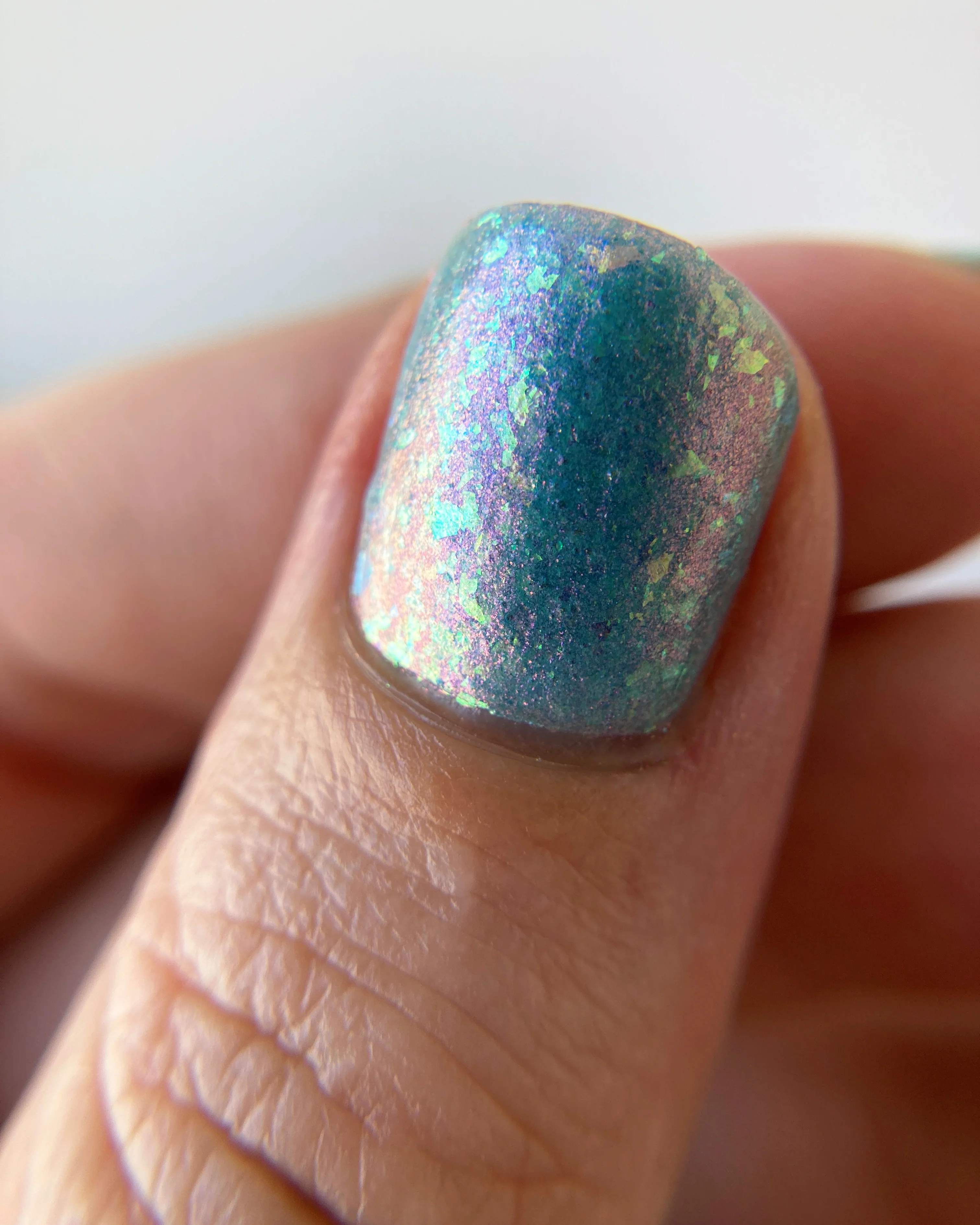 If Frogs Had Wings - Image 4