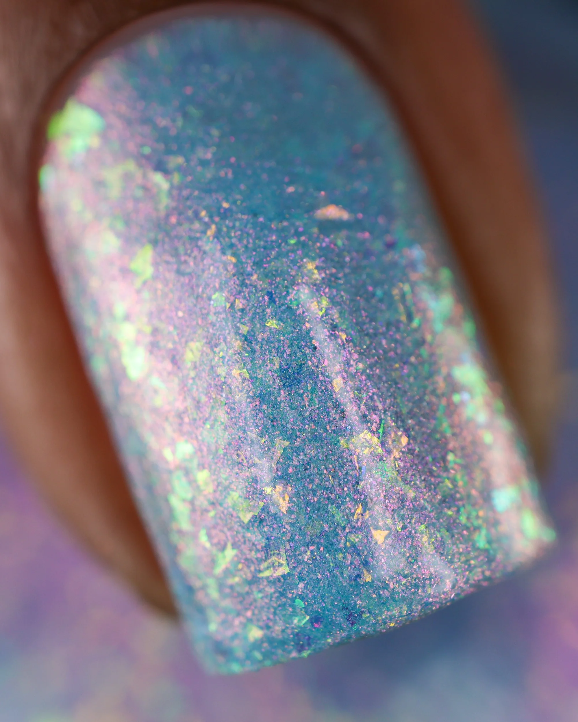 If Frogs Had Wings - Image 8