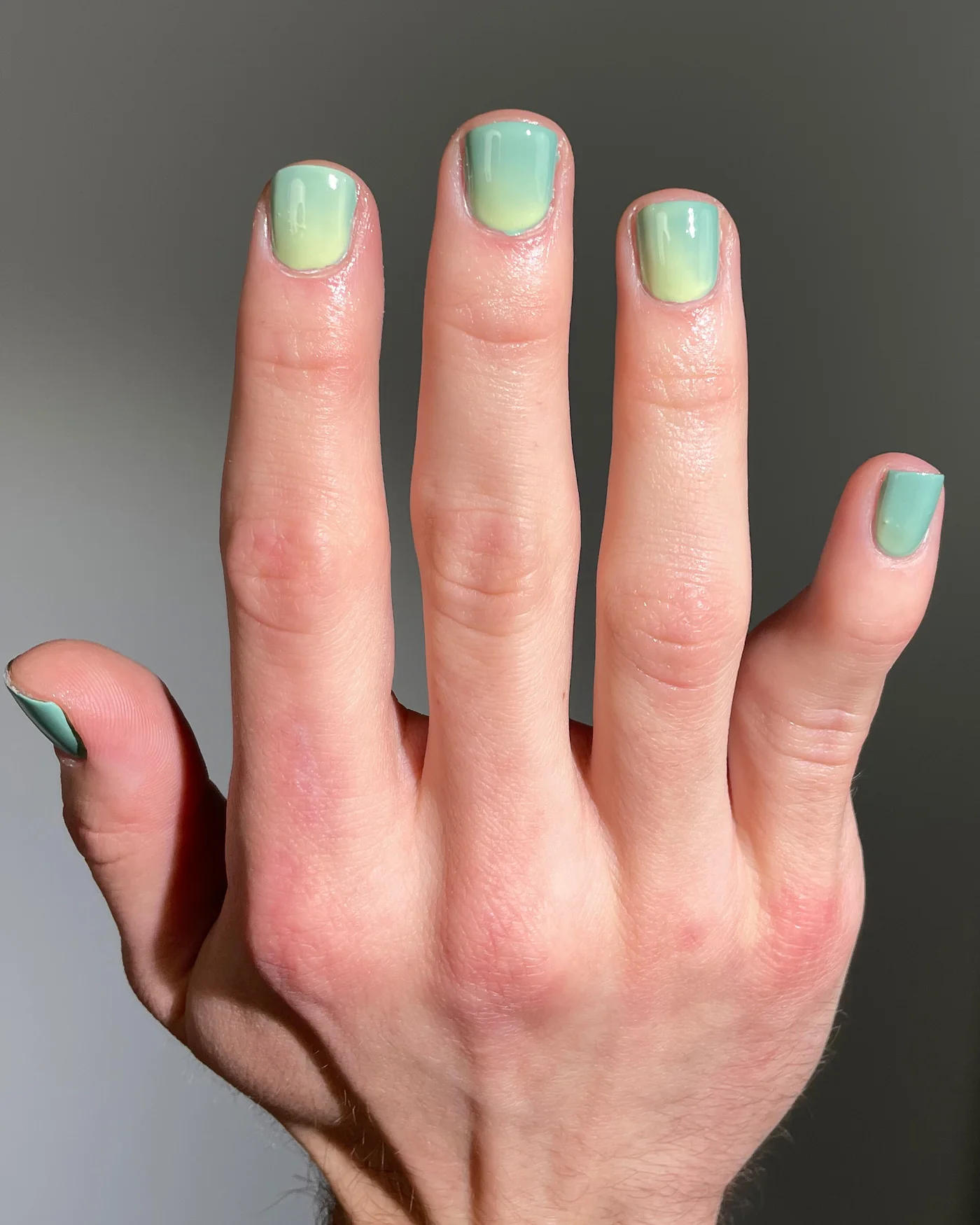 Jump Jump Bug - Image 5