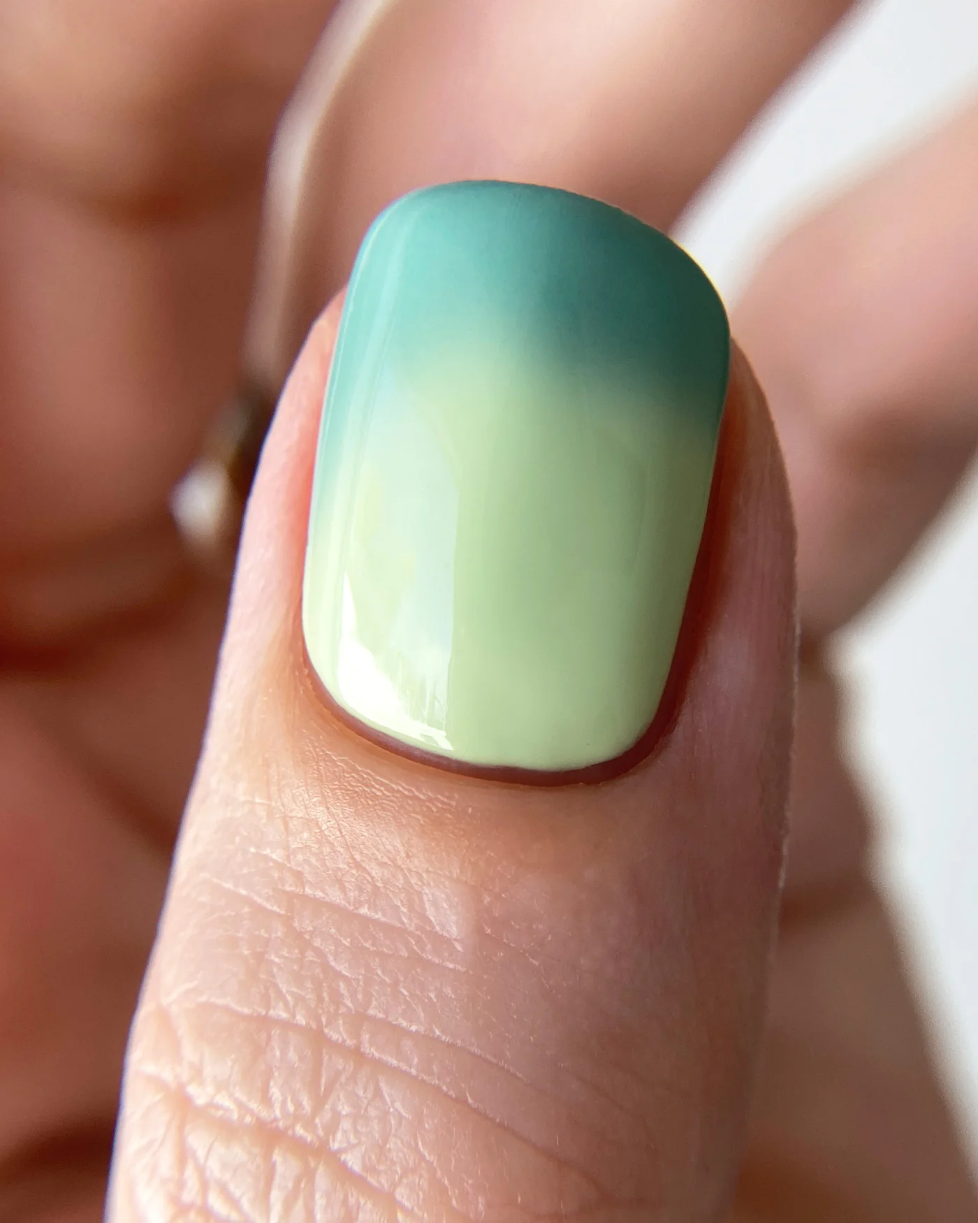 Jump Jump Bug - Image 6