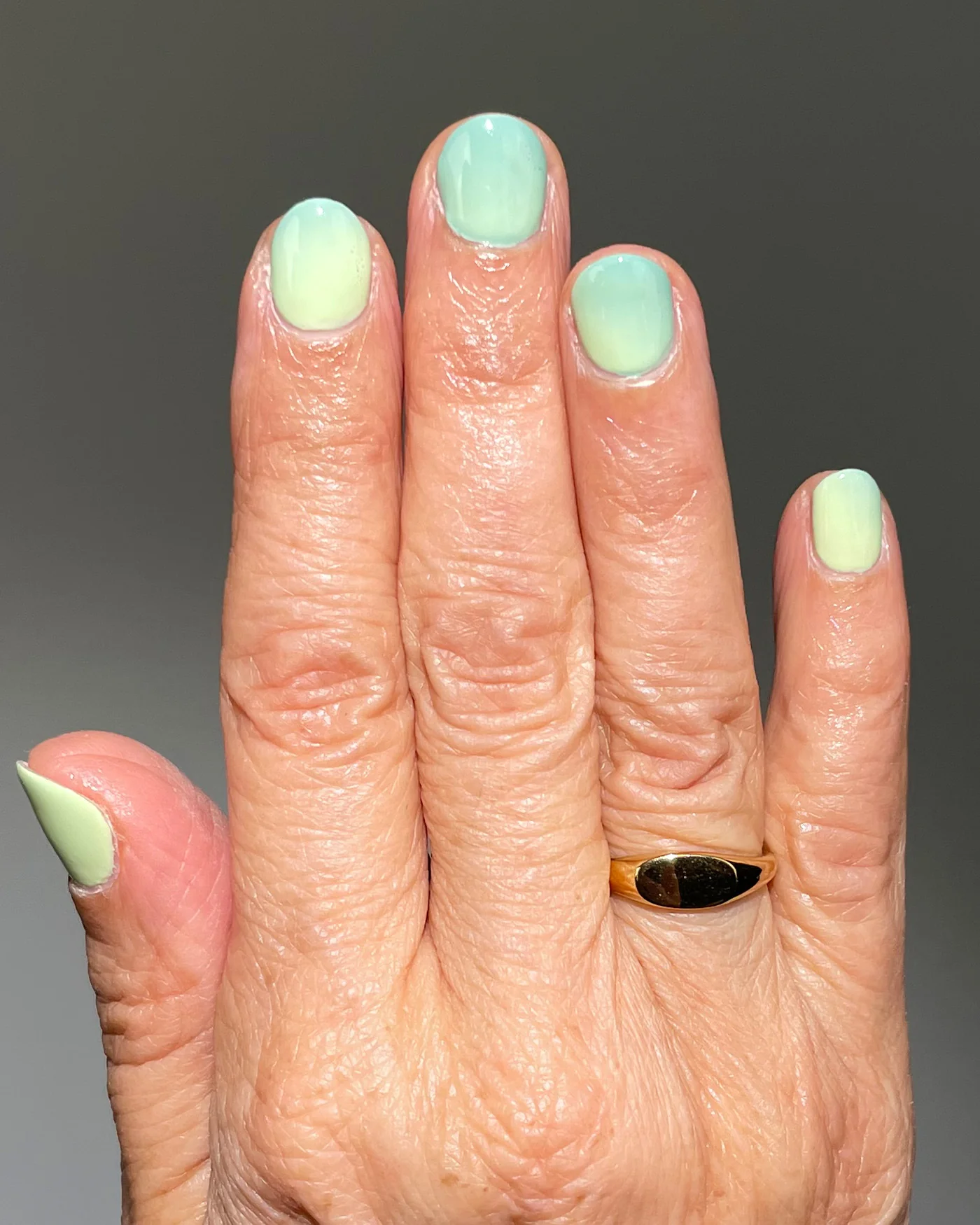 Jump Jump Bug - Image 7