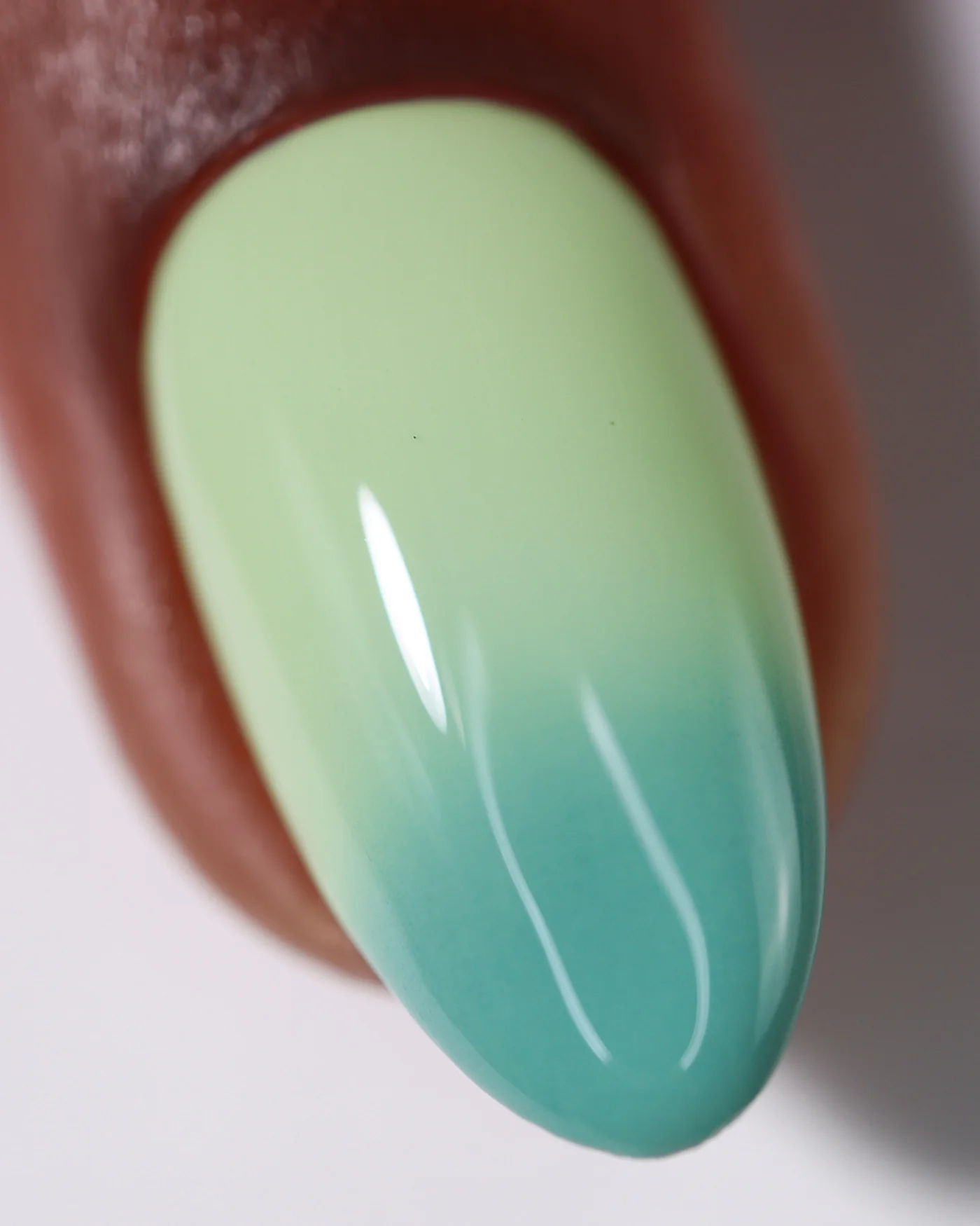 Jump Jump Bug - Image 8