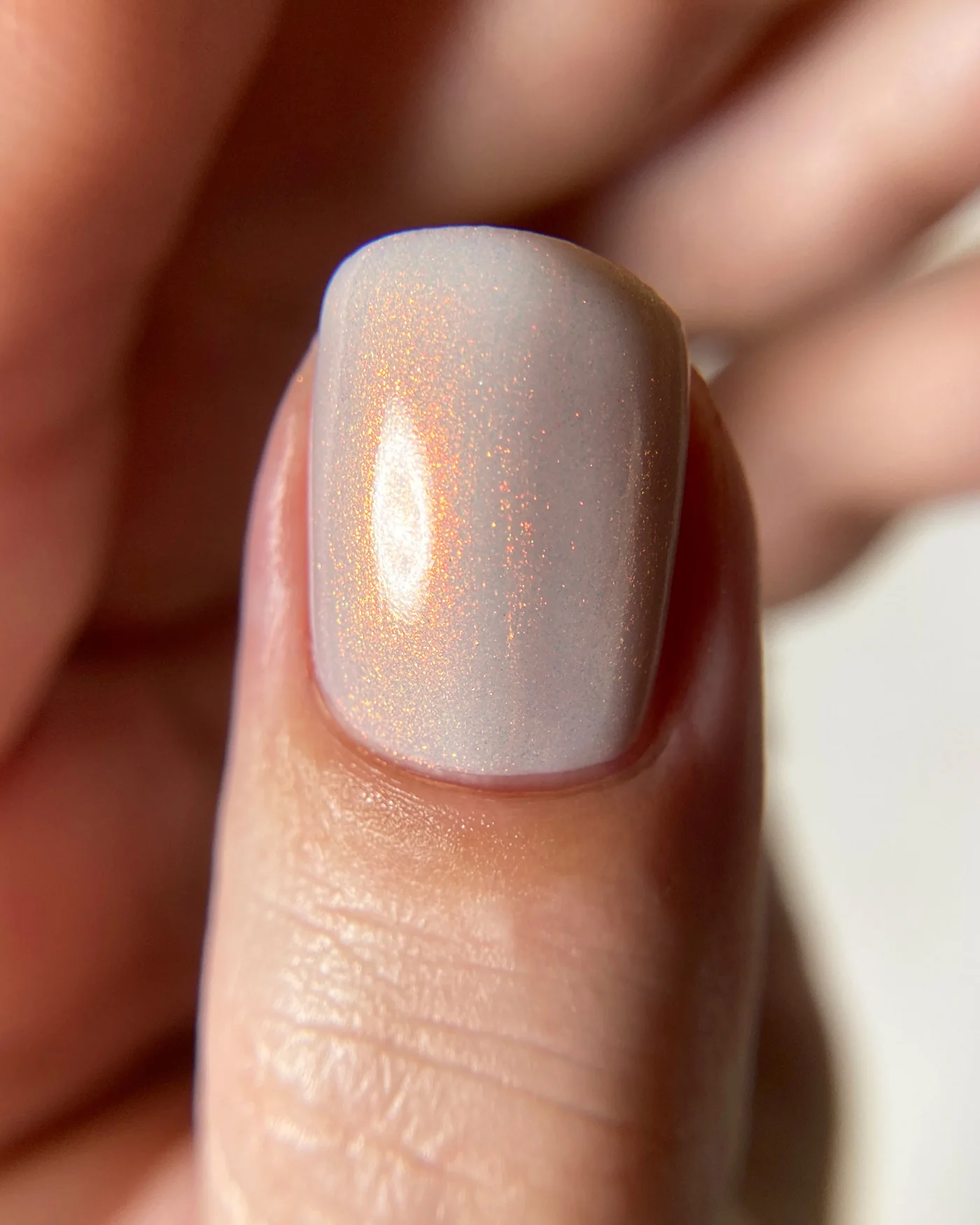 Memento Mori - Image 5