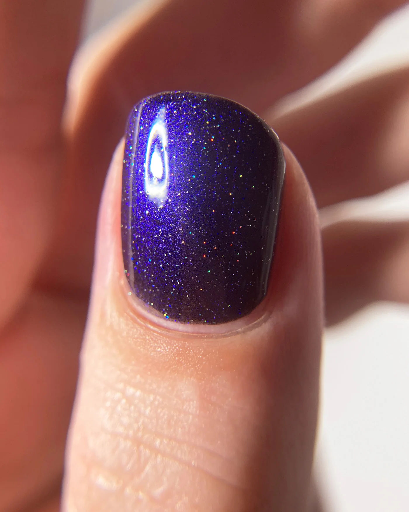 Midnight Rider - Image 7