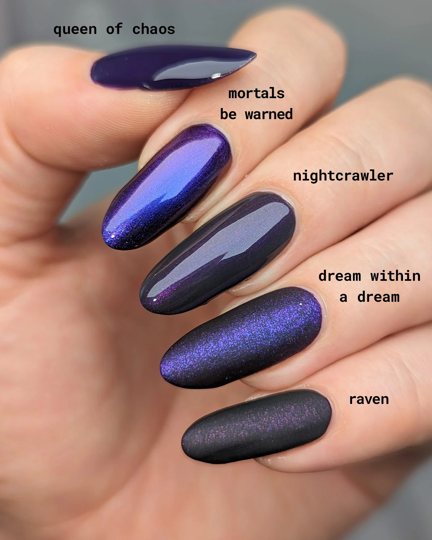 Nightcrawler - Image 10