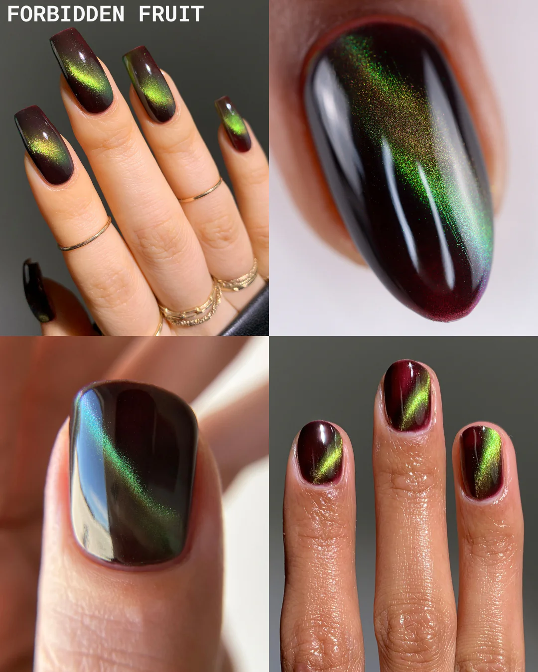 Pandora Unboxed Set - Image 3