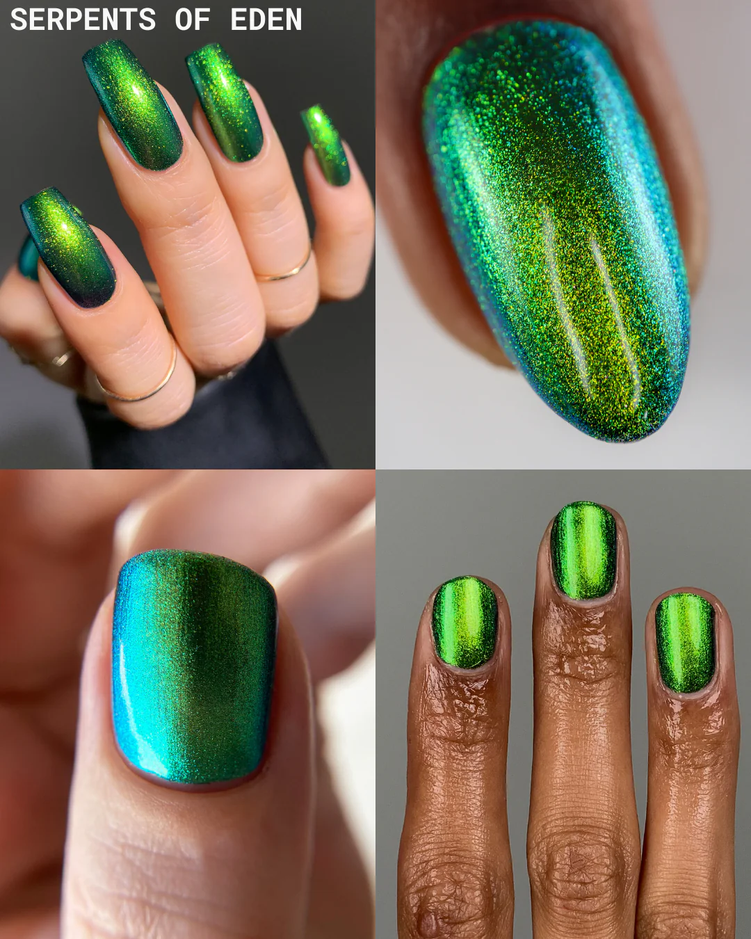 Pandora Unboxed Set - Image 9