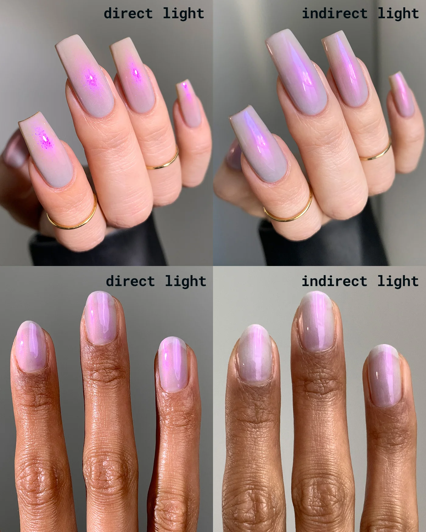 Petals for a Narcissist - Image 2