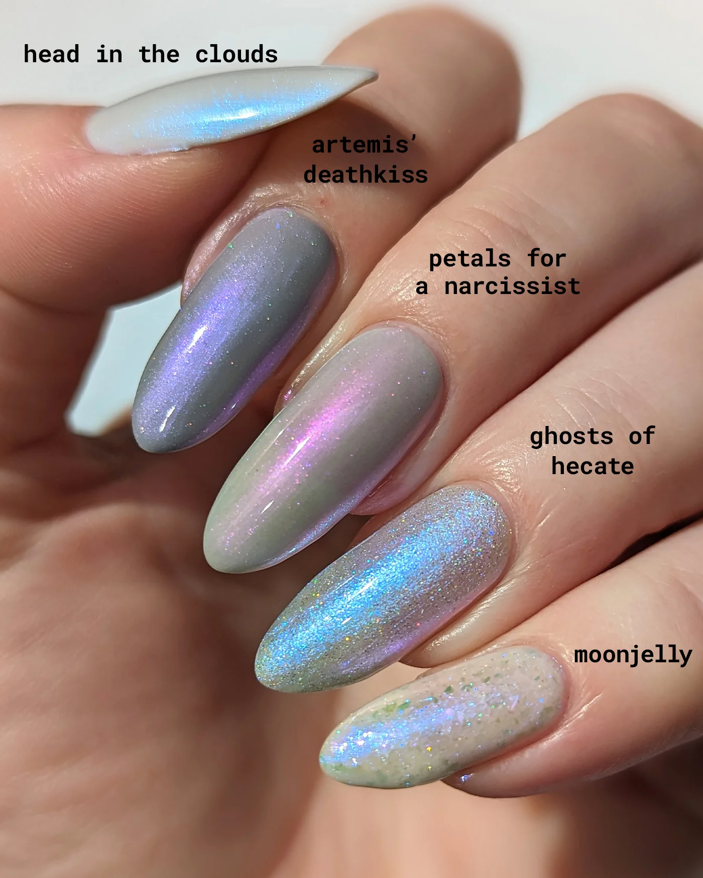 Petals for a Narcissist - Image 8