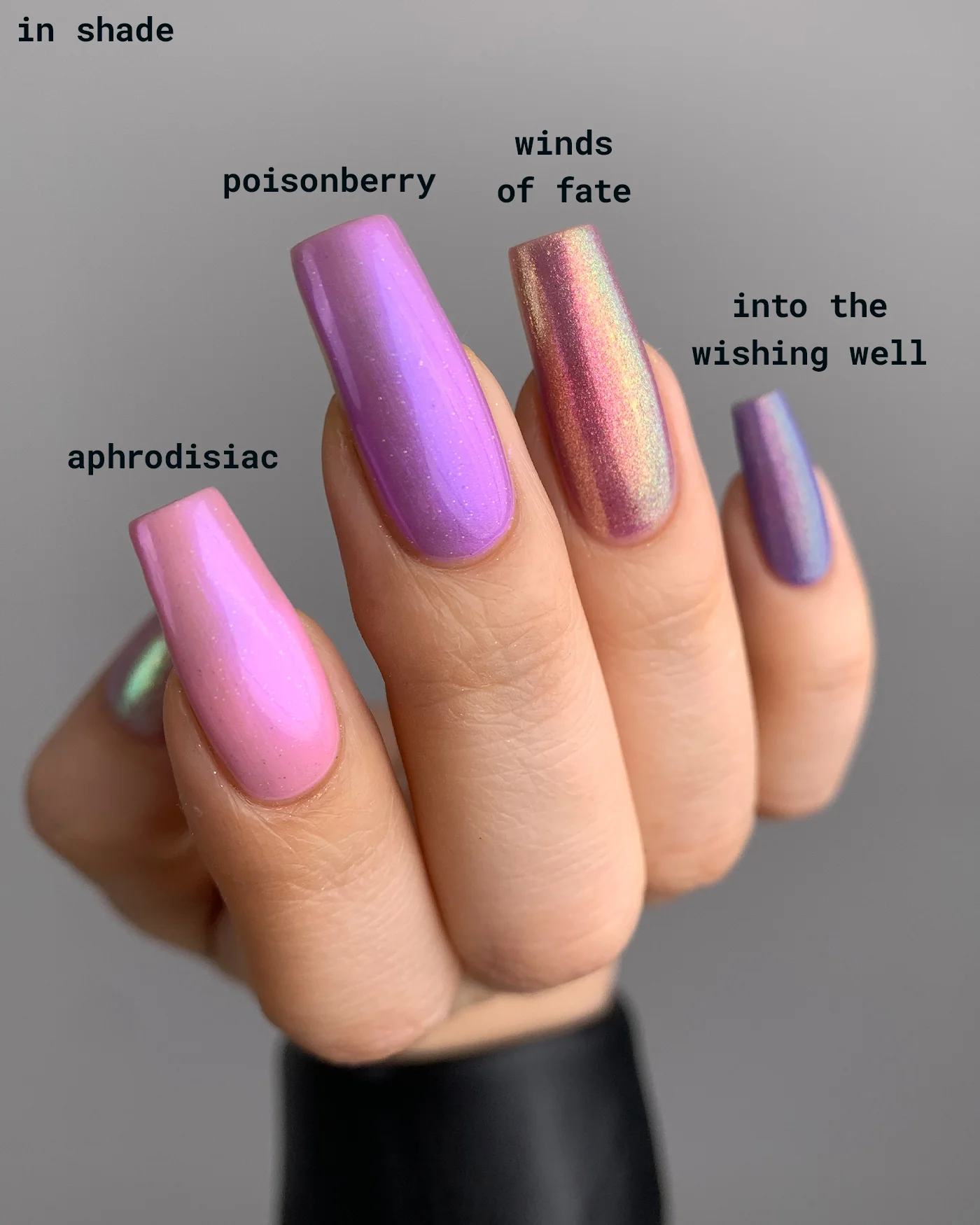 Poisonberry - Image 8