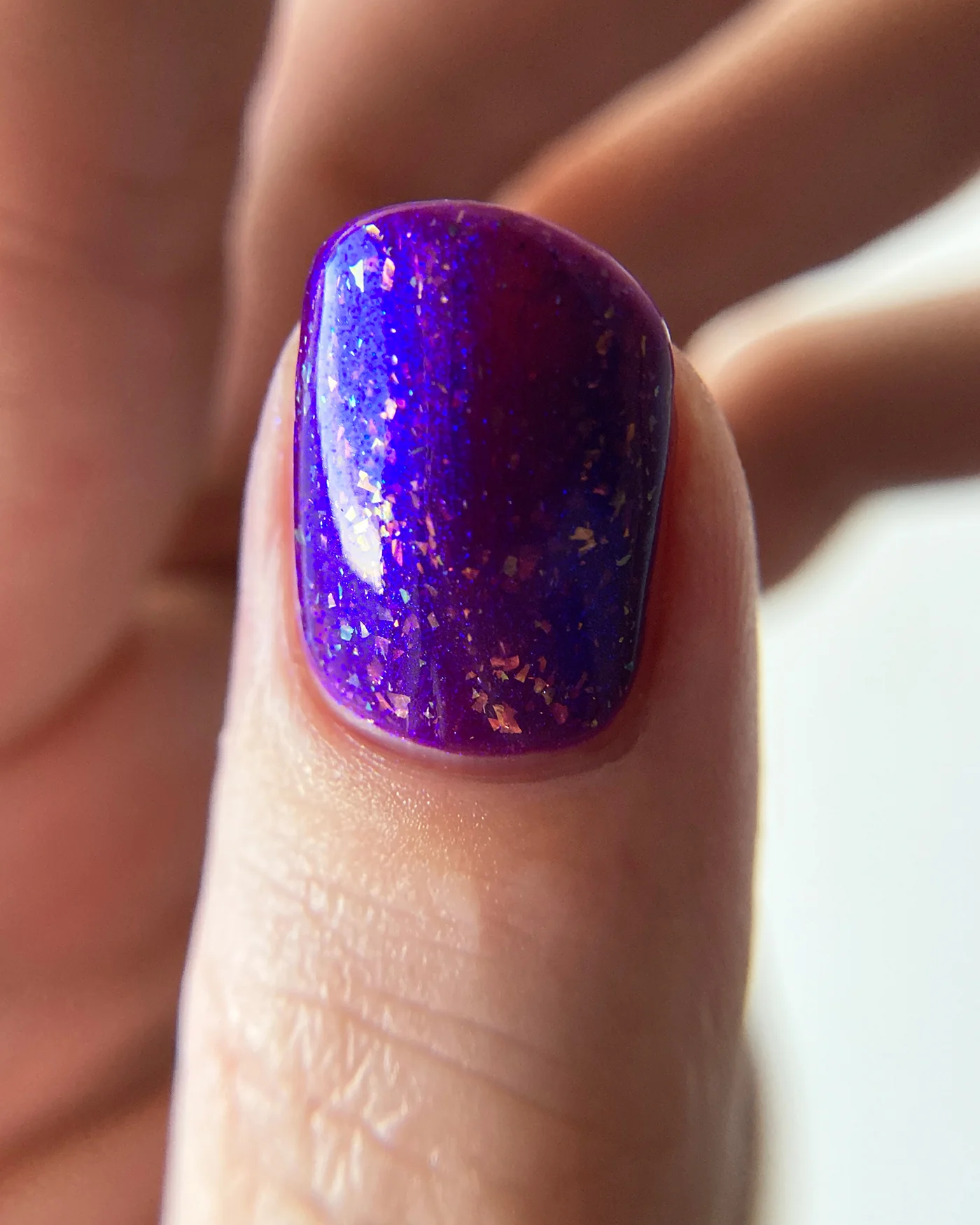 Pomegranate Seeds - Image 8