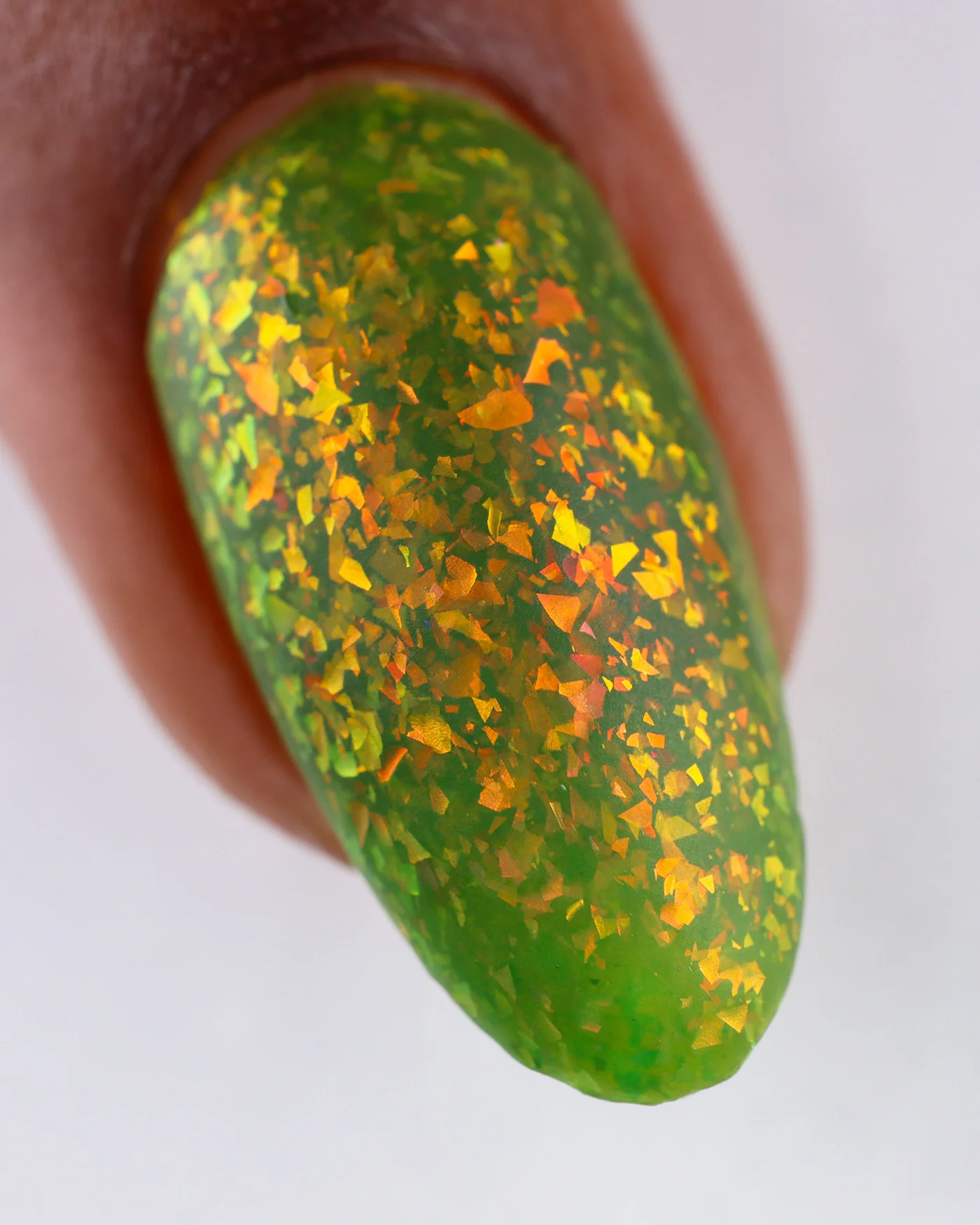 Prickly Pear - Image 3