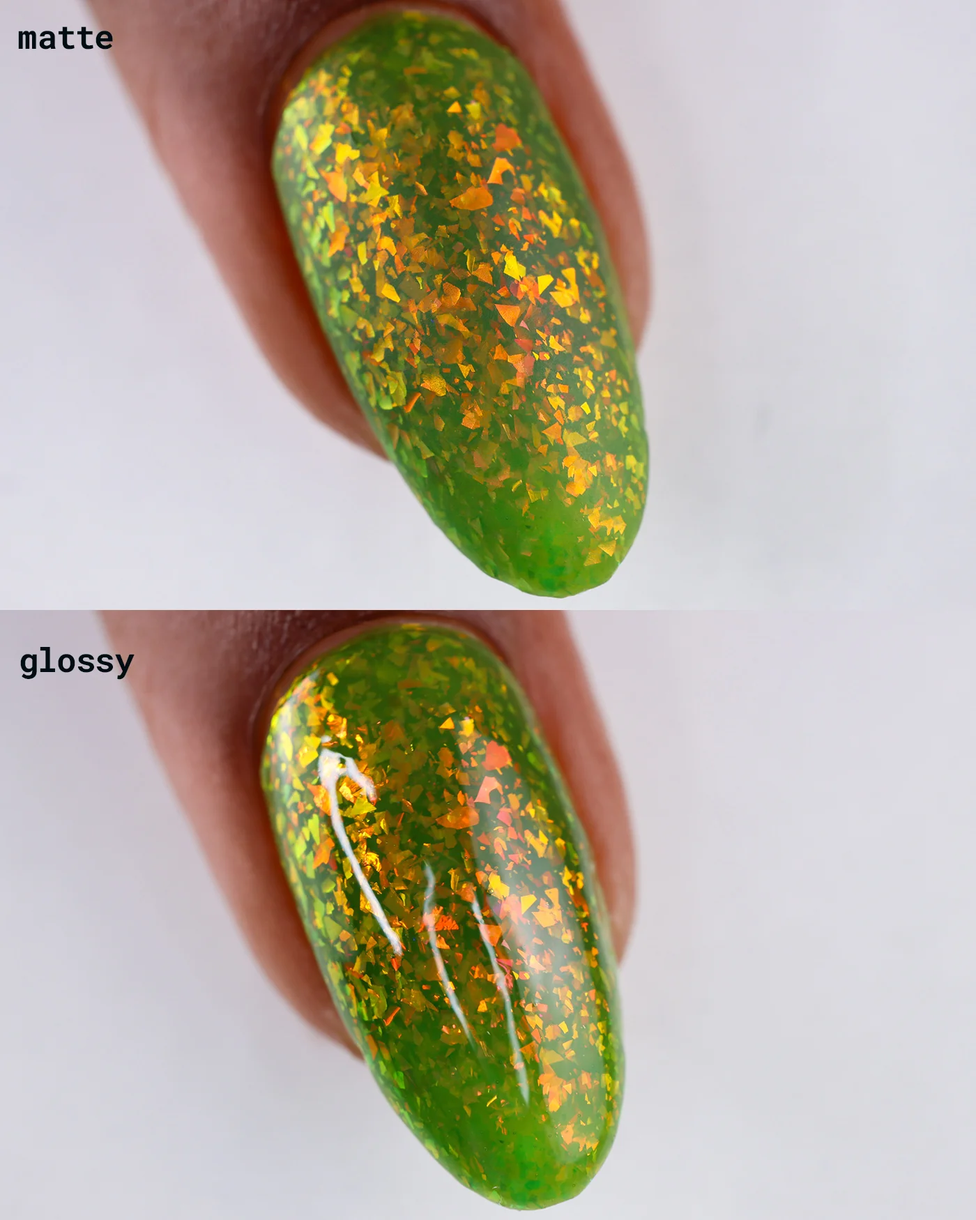 Prickly Pear - Image 8