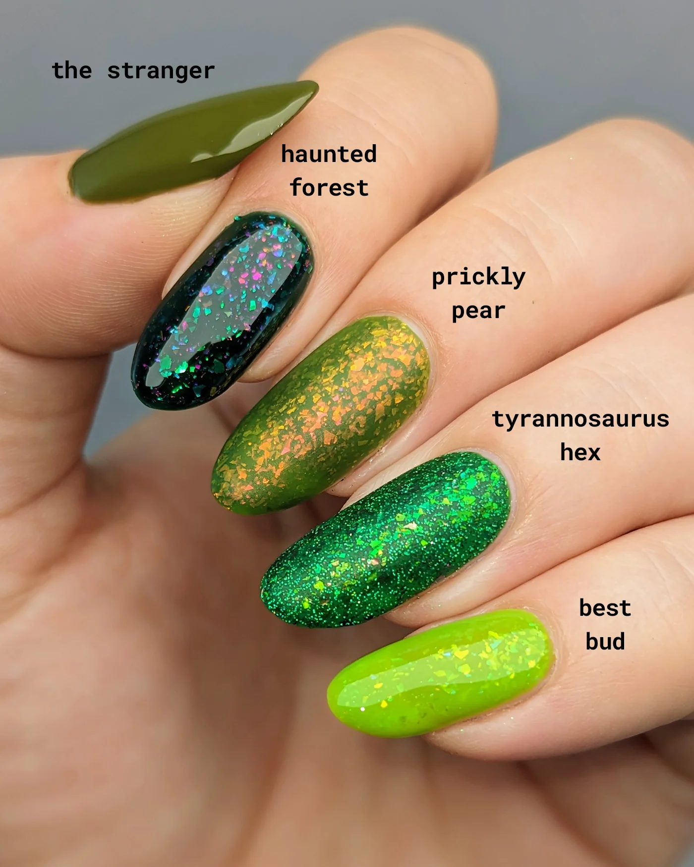 Prickly Pear - Image 9