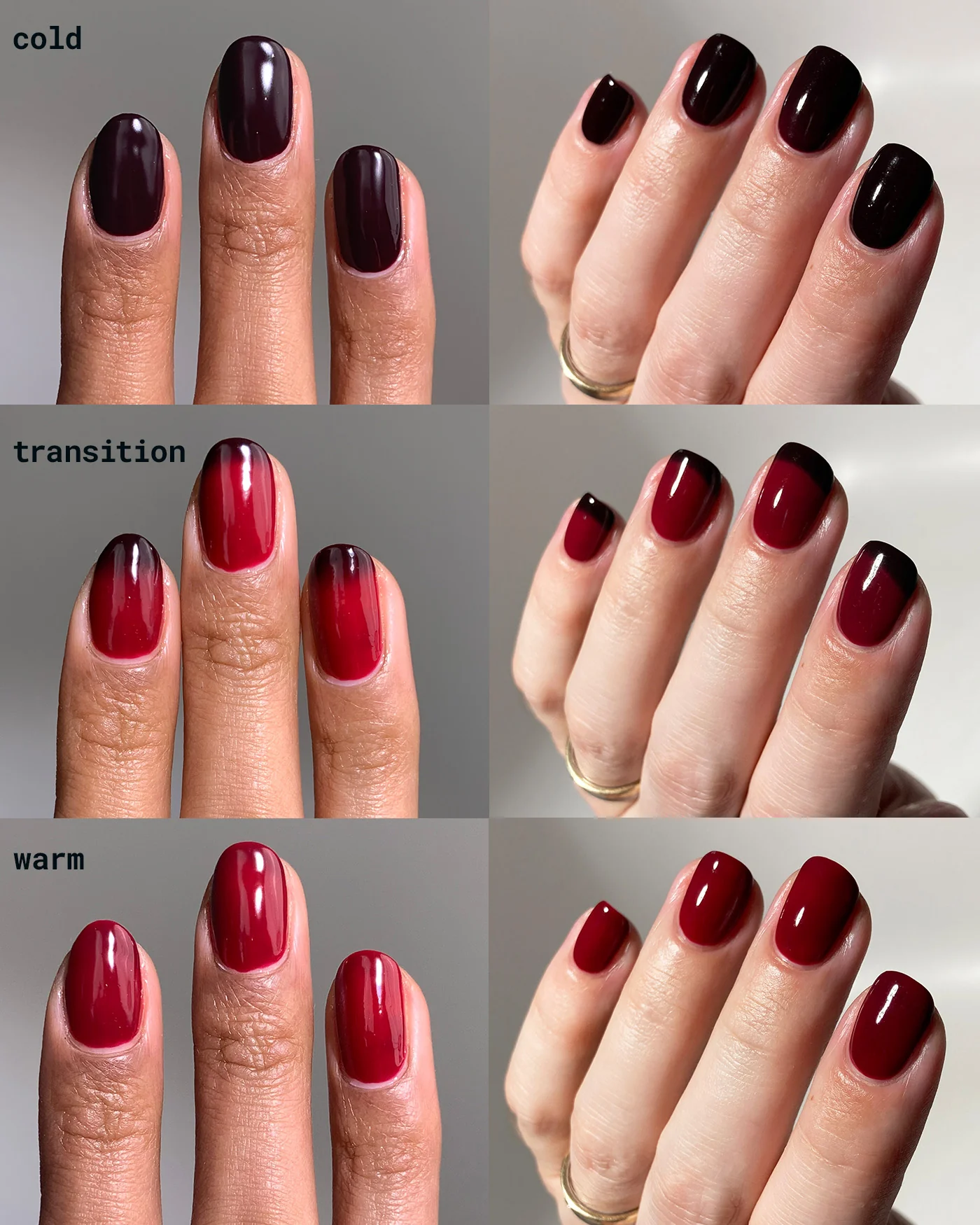 Queen of the Dead - Image 3